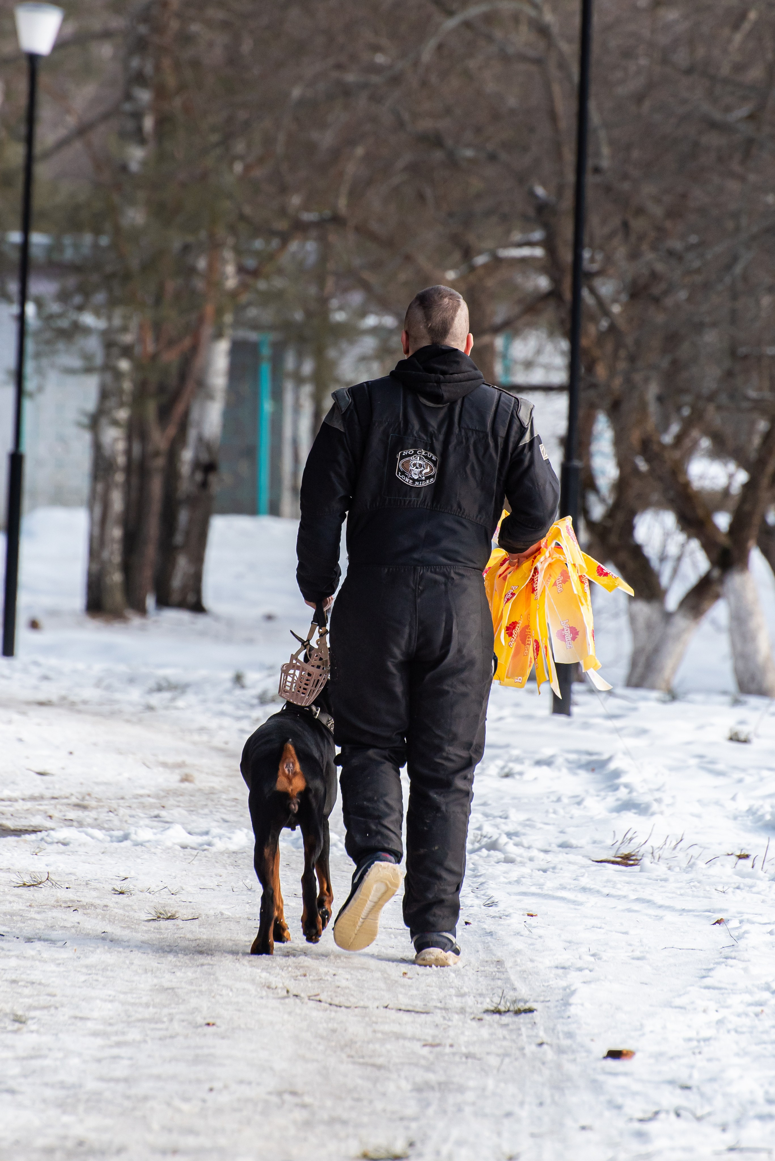 Фотосъёмка с собаками в Кинологическом лагере. Фотограф Макс Огурцов в Нижнем Новгороде