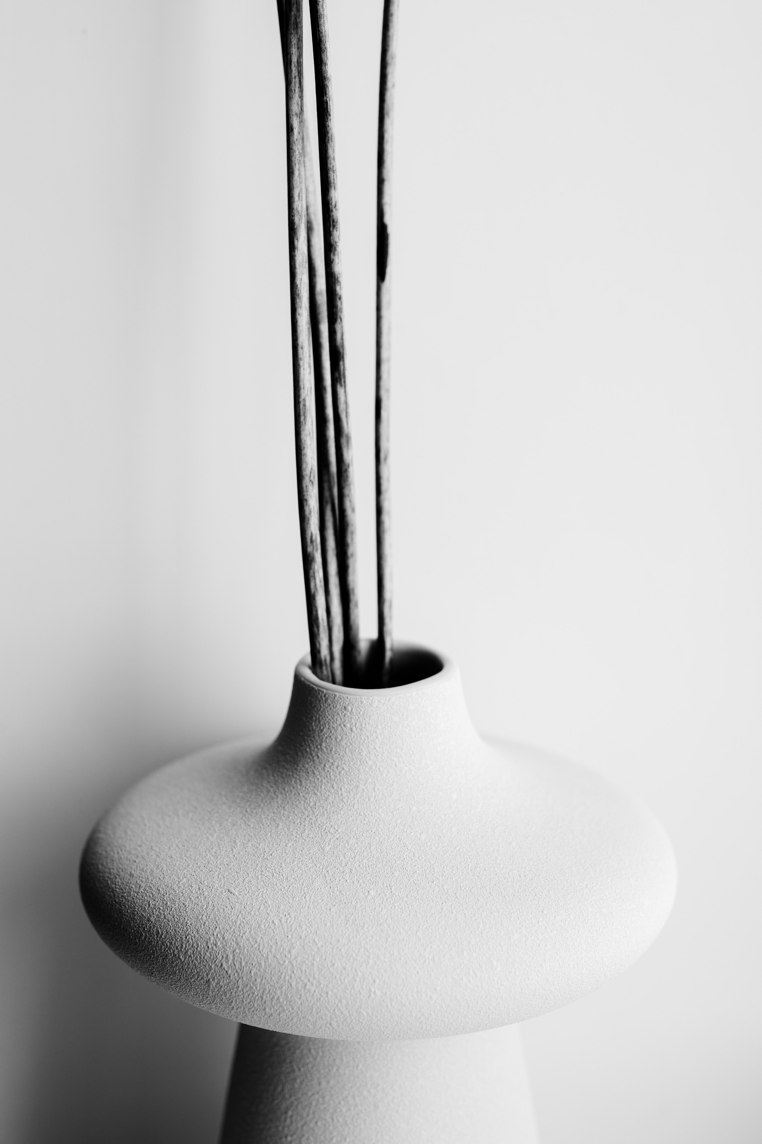 Portfolio. @beingabird.photography