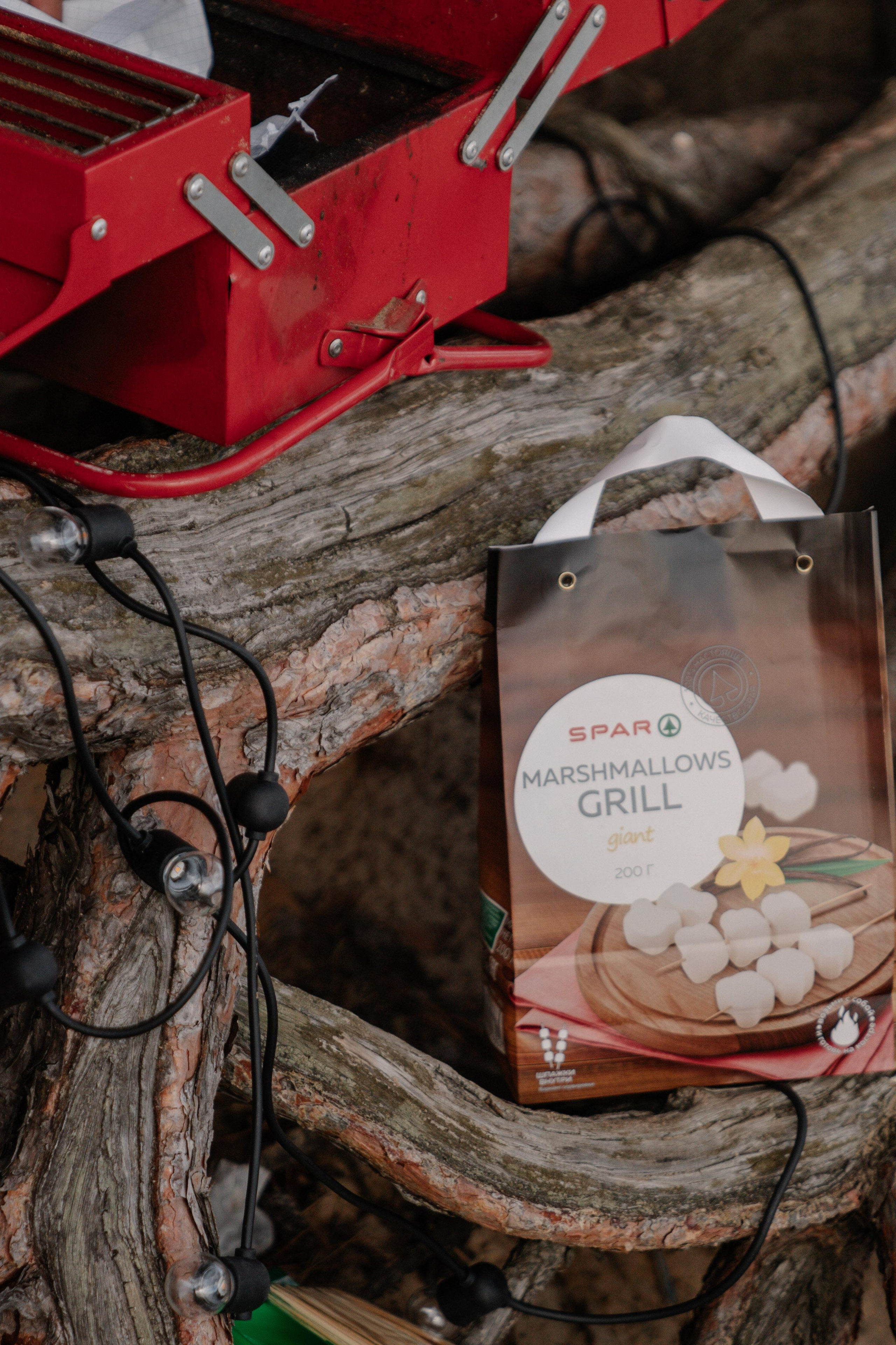 Пикник. Оля Киселева фотограф в Выксе