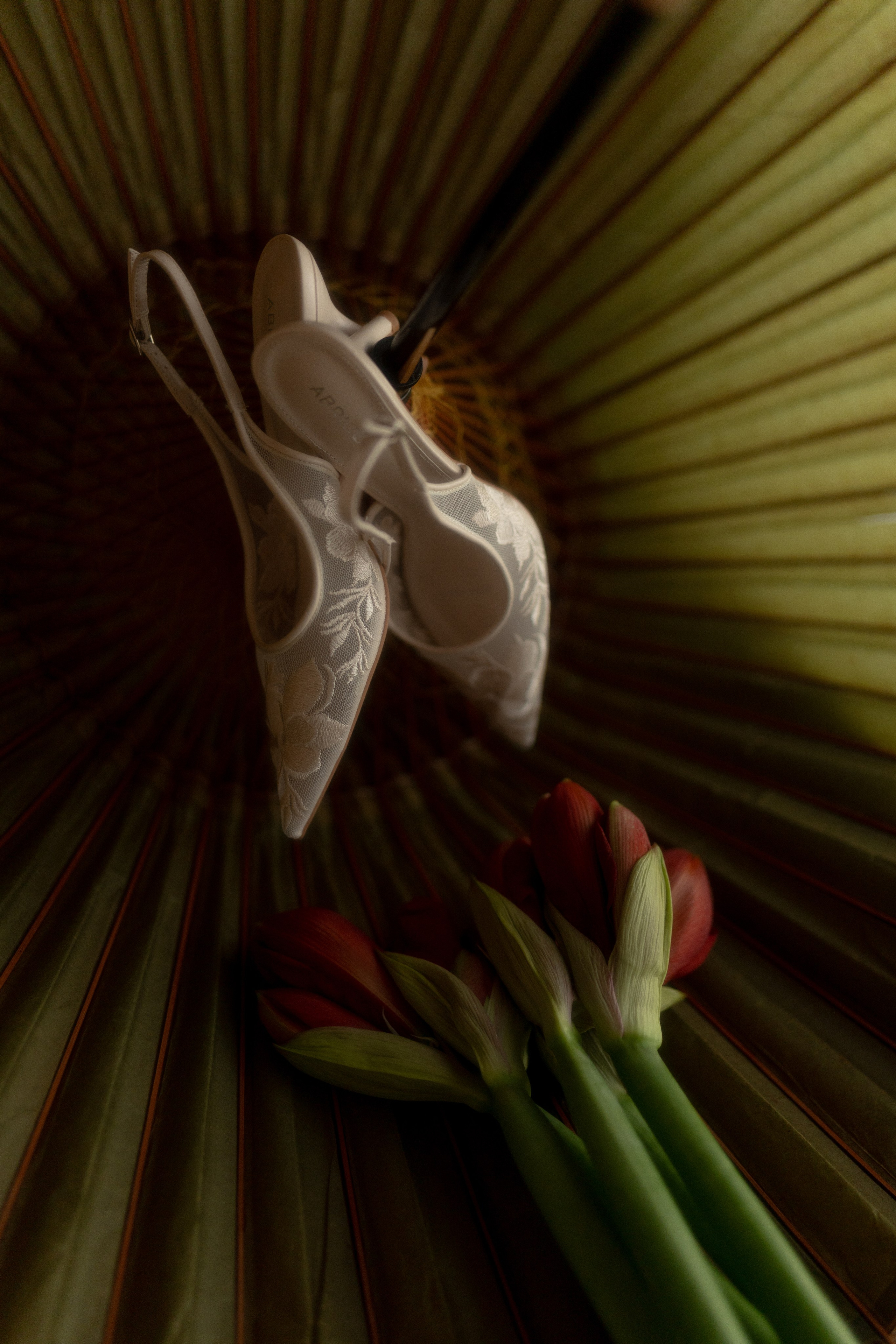 С тобой. Главная