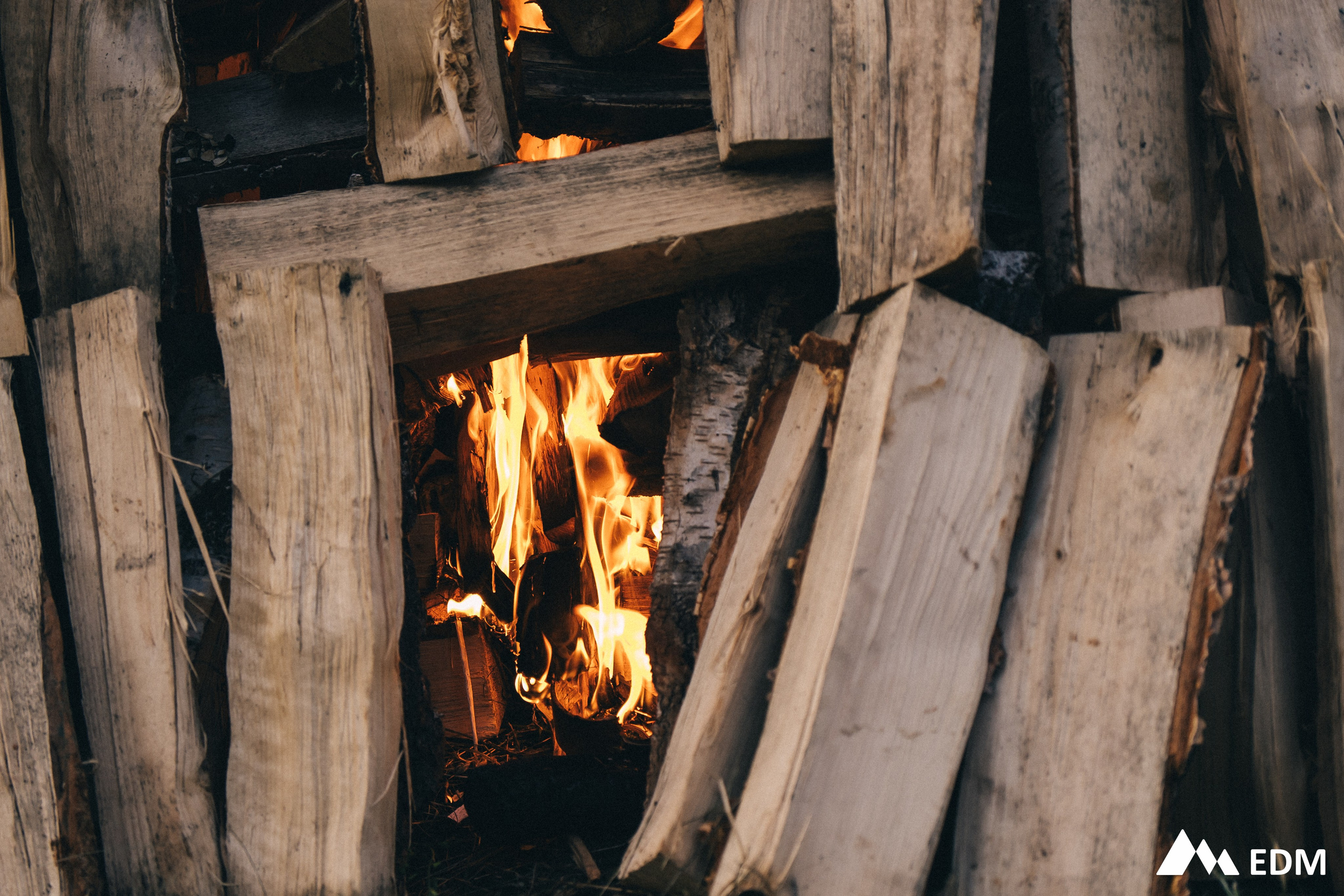 EDM2025. Фотограф Новосибирск Вероника Вишневская