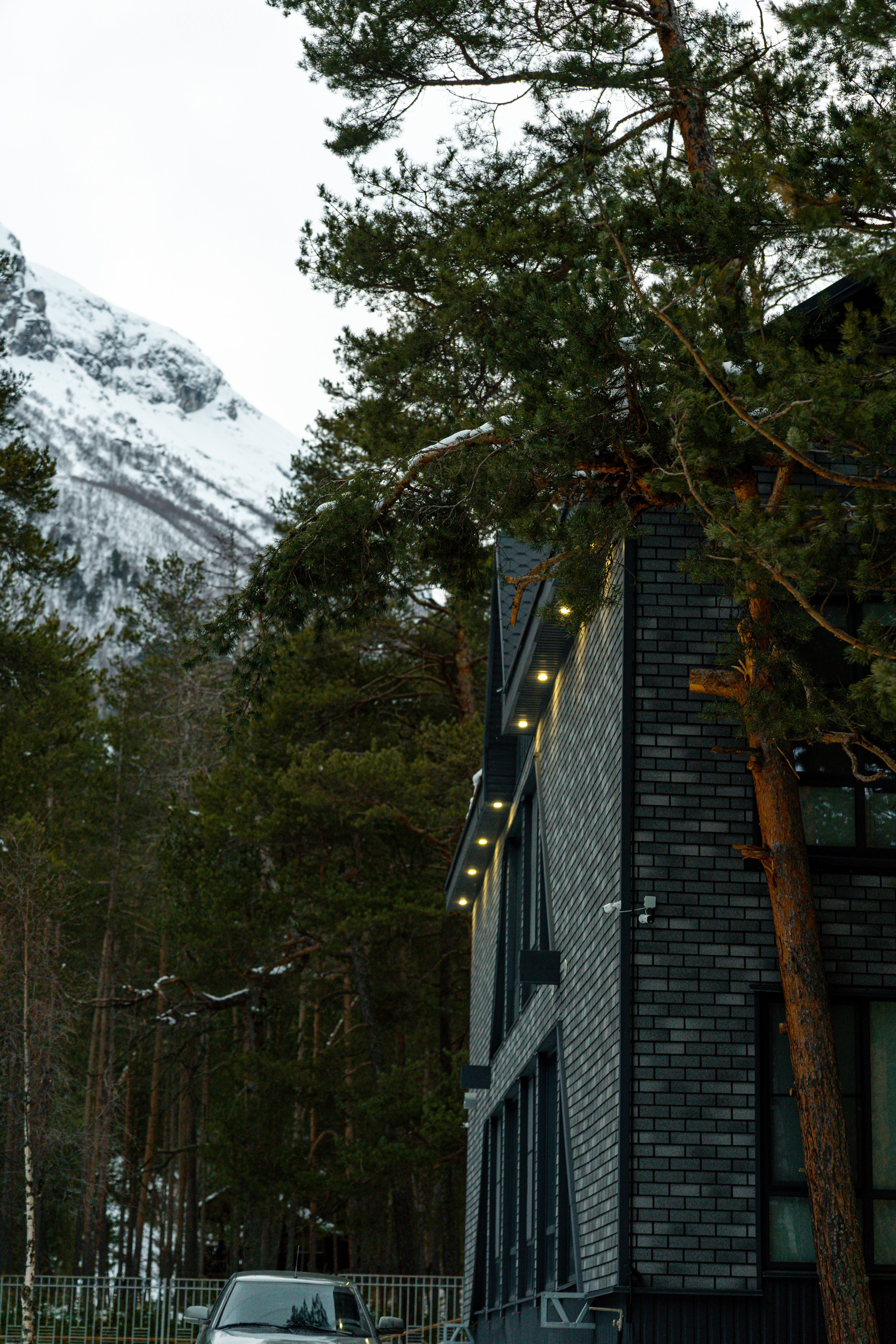 Эклер. Фотограф и видеограф Елена Хмелевская