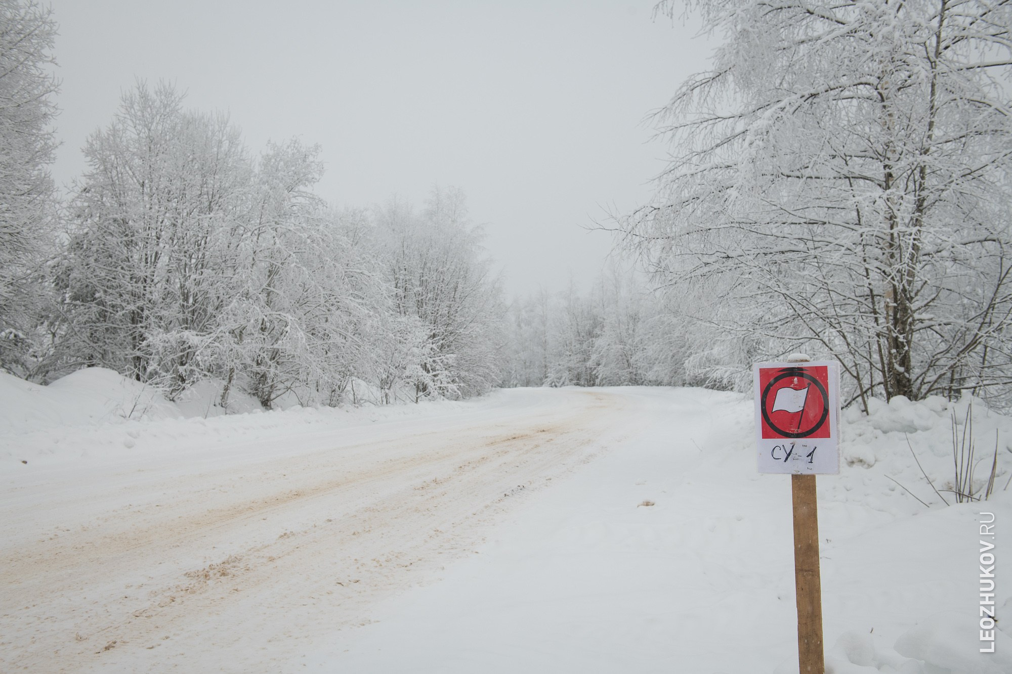 Ралли Суворов 2025. Спортивный фотограф Леонид Жуков