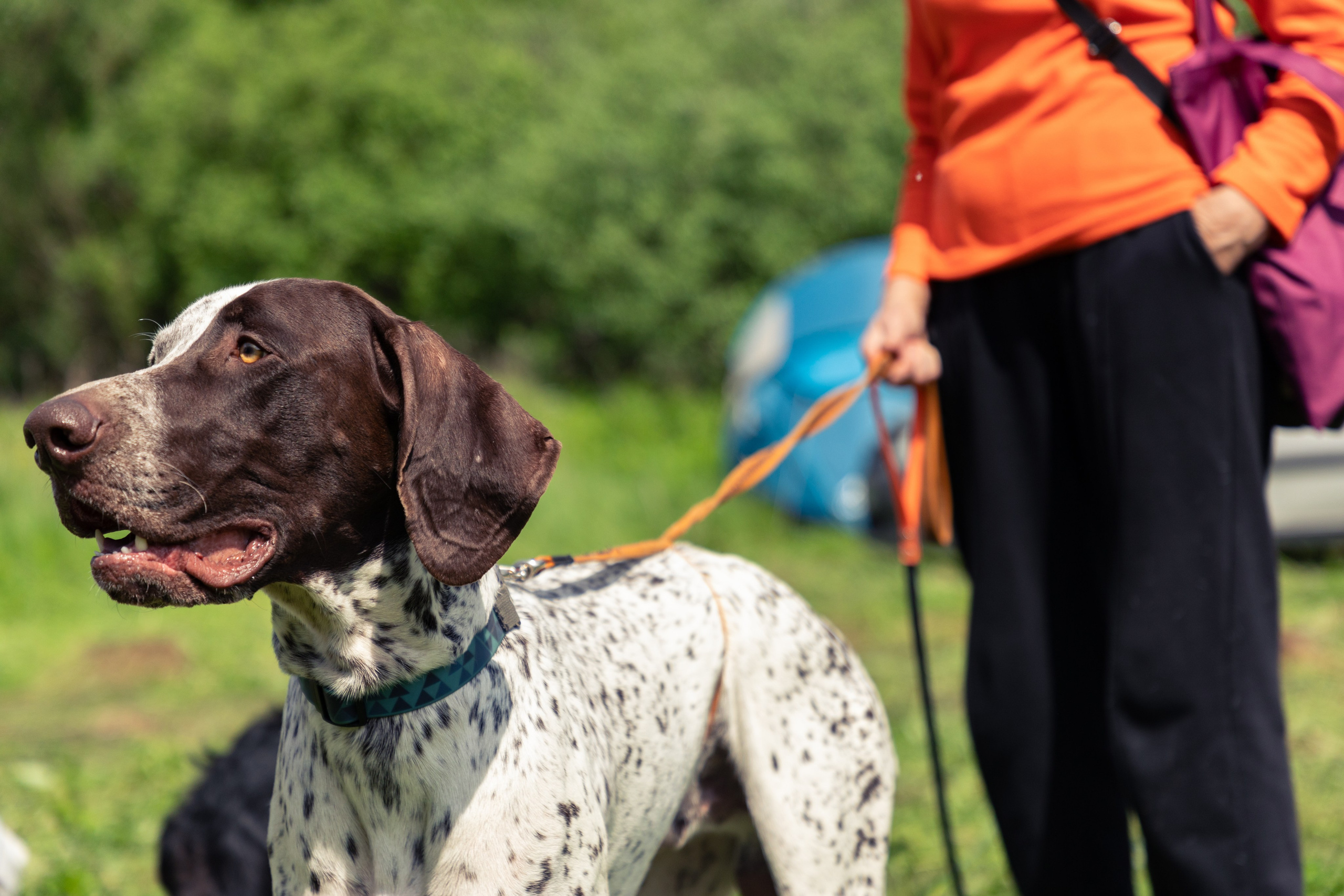 ДПСО «ЛизаАлерт». Главная