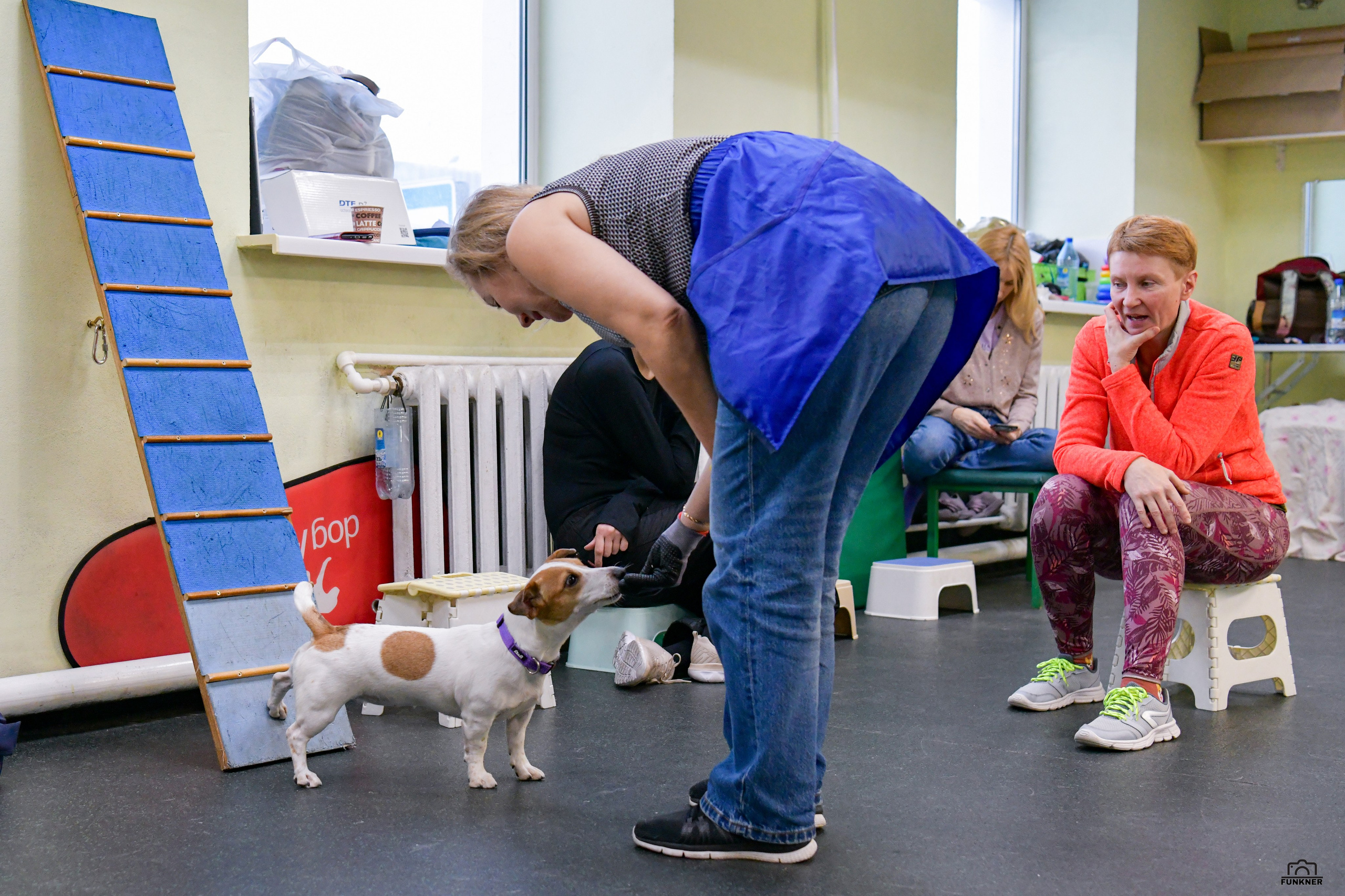 Кинологический клуб «Бодрый хвост». Свой взгляд через объектив