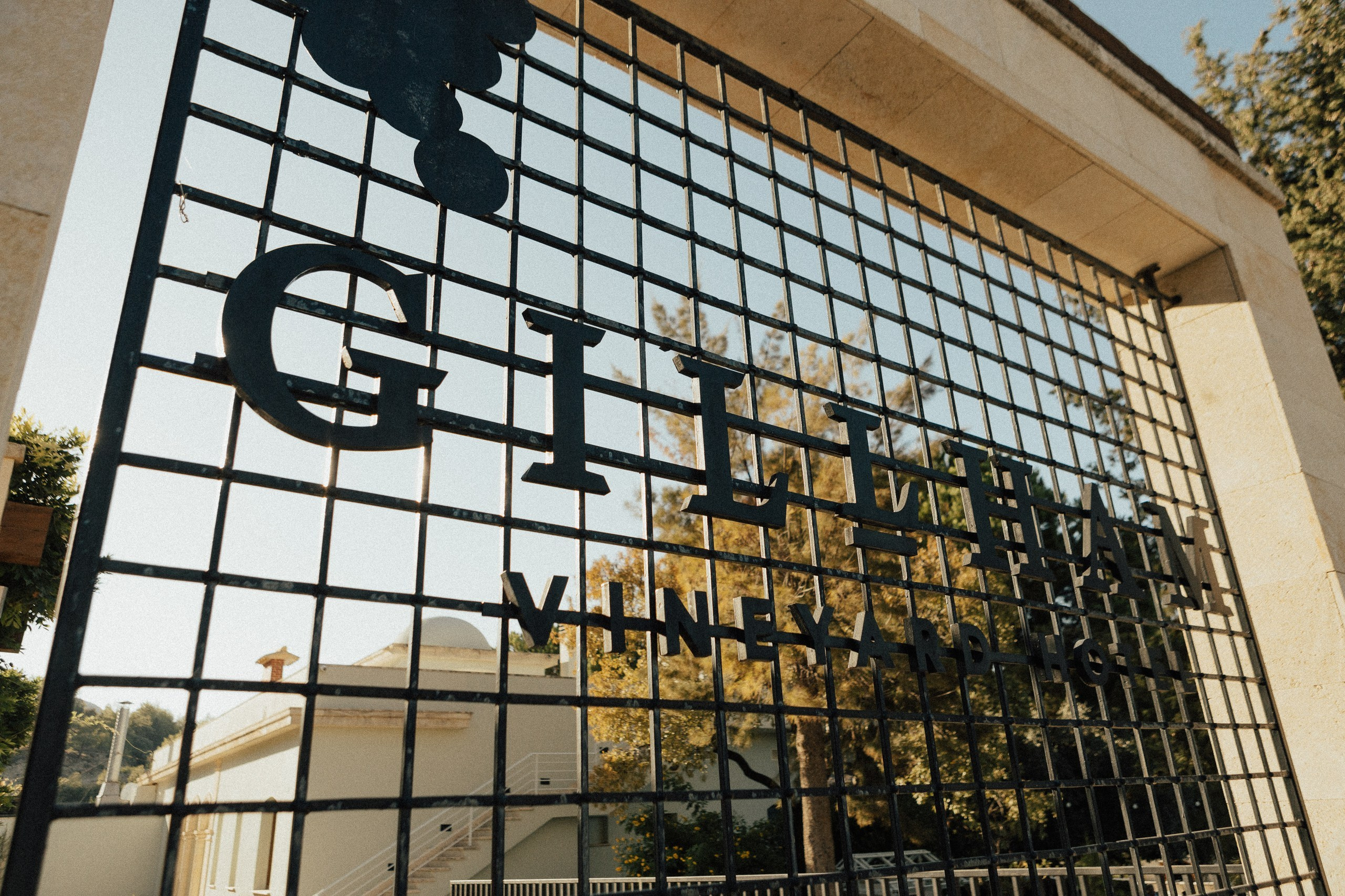 L&A. Фотограф в Батуми Павел Шарников