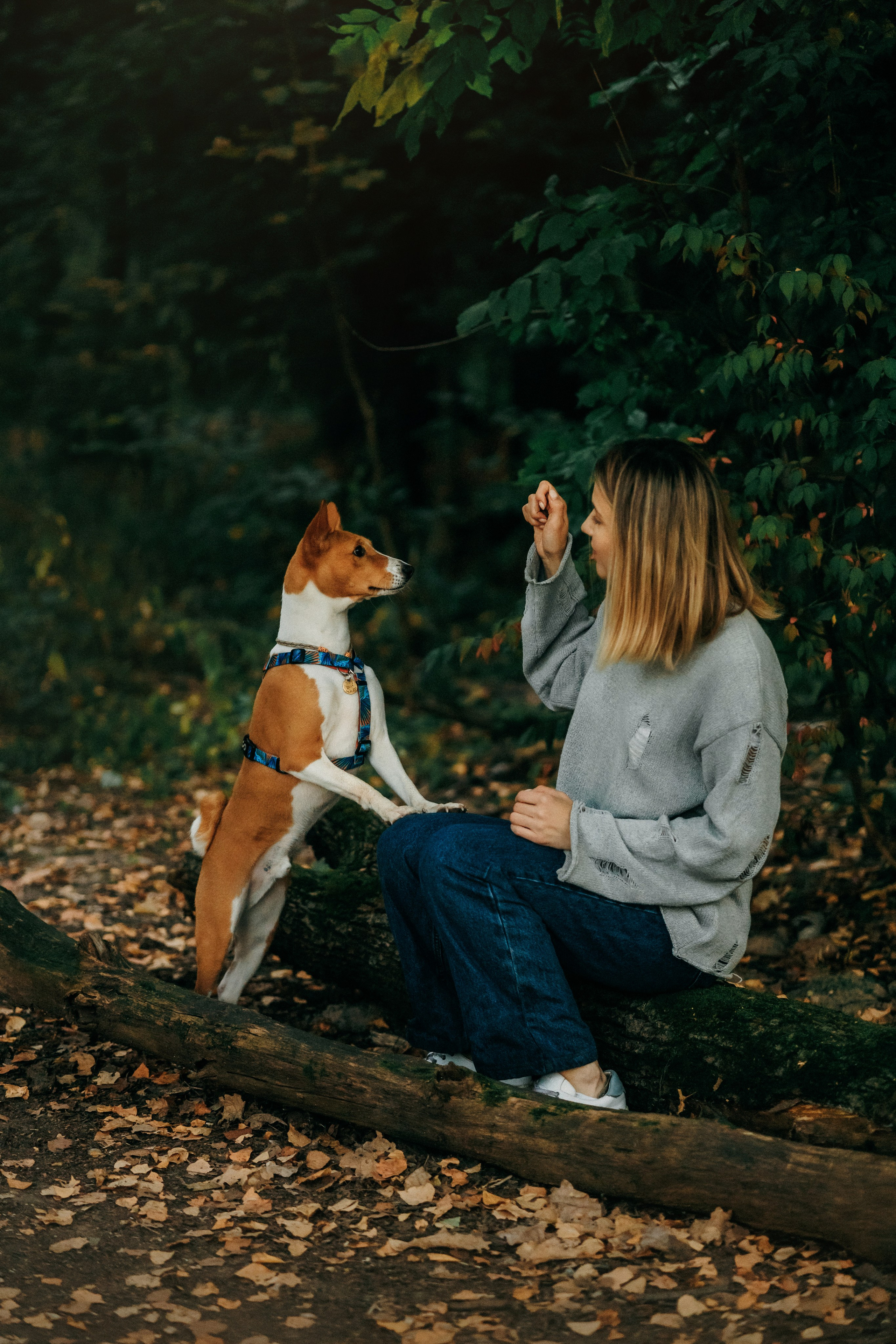 Лена и Джин. Фотограф-анималист Елена Радченко, Москва
