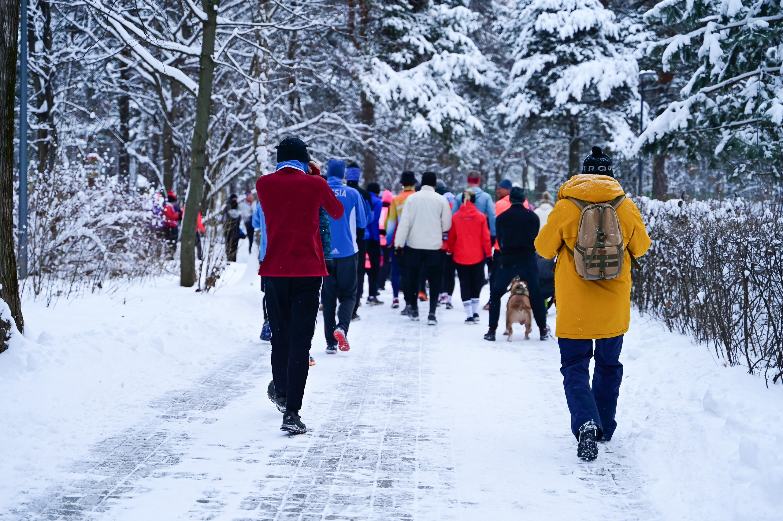 Sat9am5km Кузьминки (25.11.23). Фотограф | Ирина Гамзинова | Москва