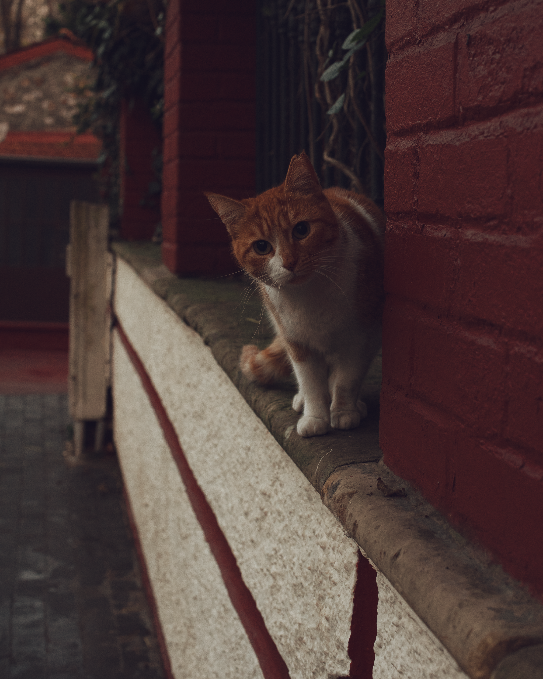 Стамбул глазами фотографа: вдохновение на границе двух миров. Коммерческий и предметный фотограф в Гуанчжоу Коваленко Александр
