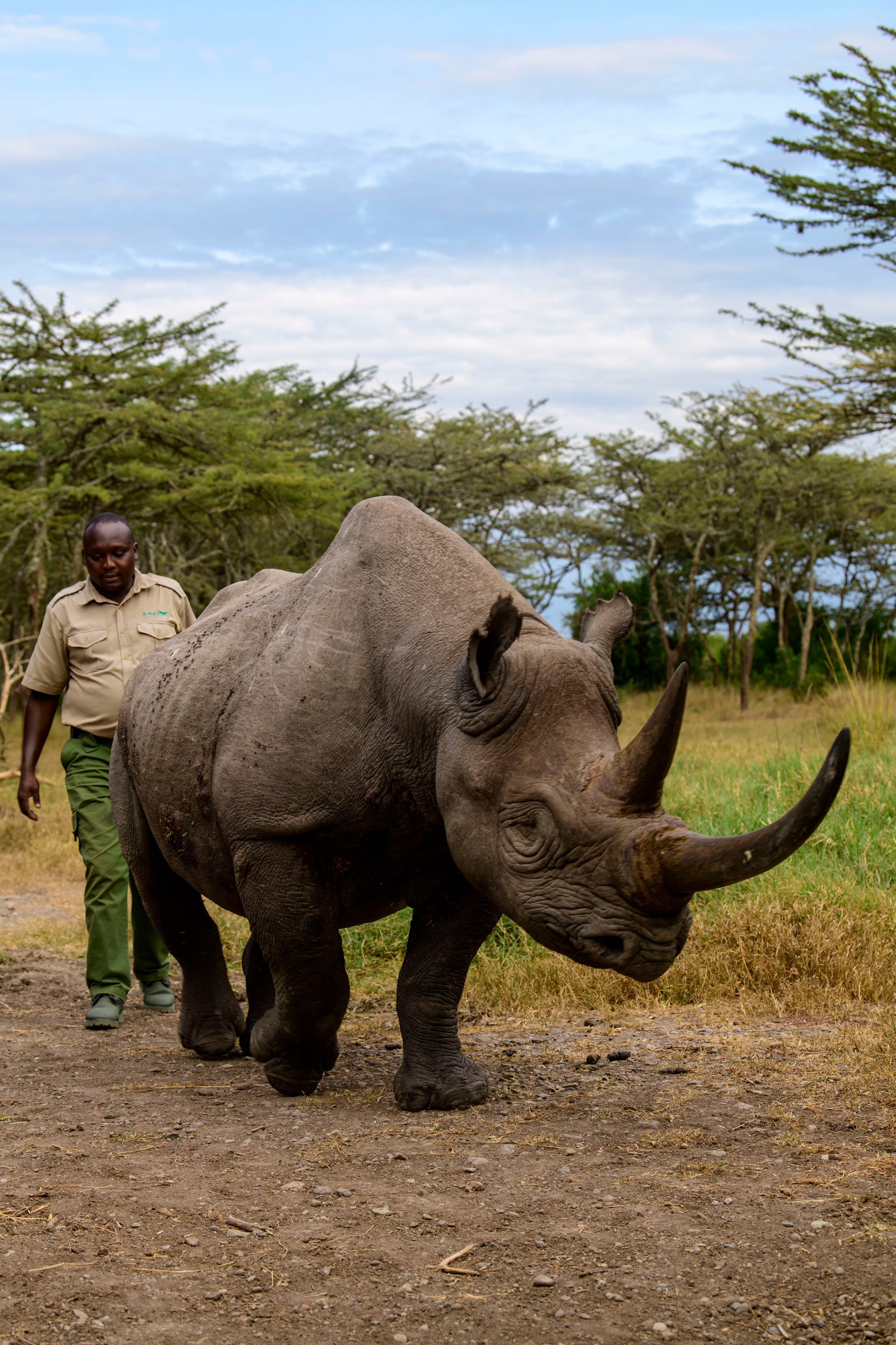 Кения. Wildlife photography by Sergey Puponin