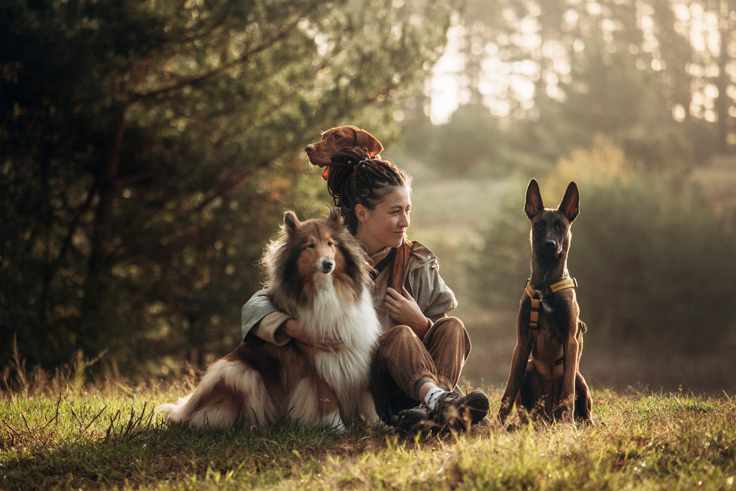 Трисс, Эста, Яся и их семья. Фотограф — Анималист | Санкт-Петербург