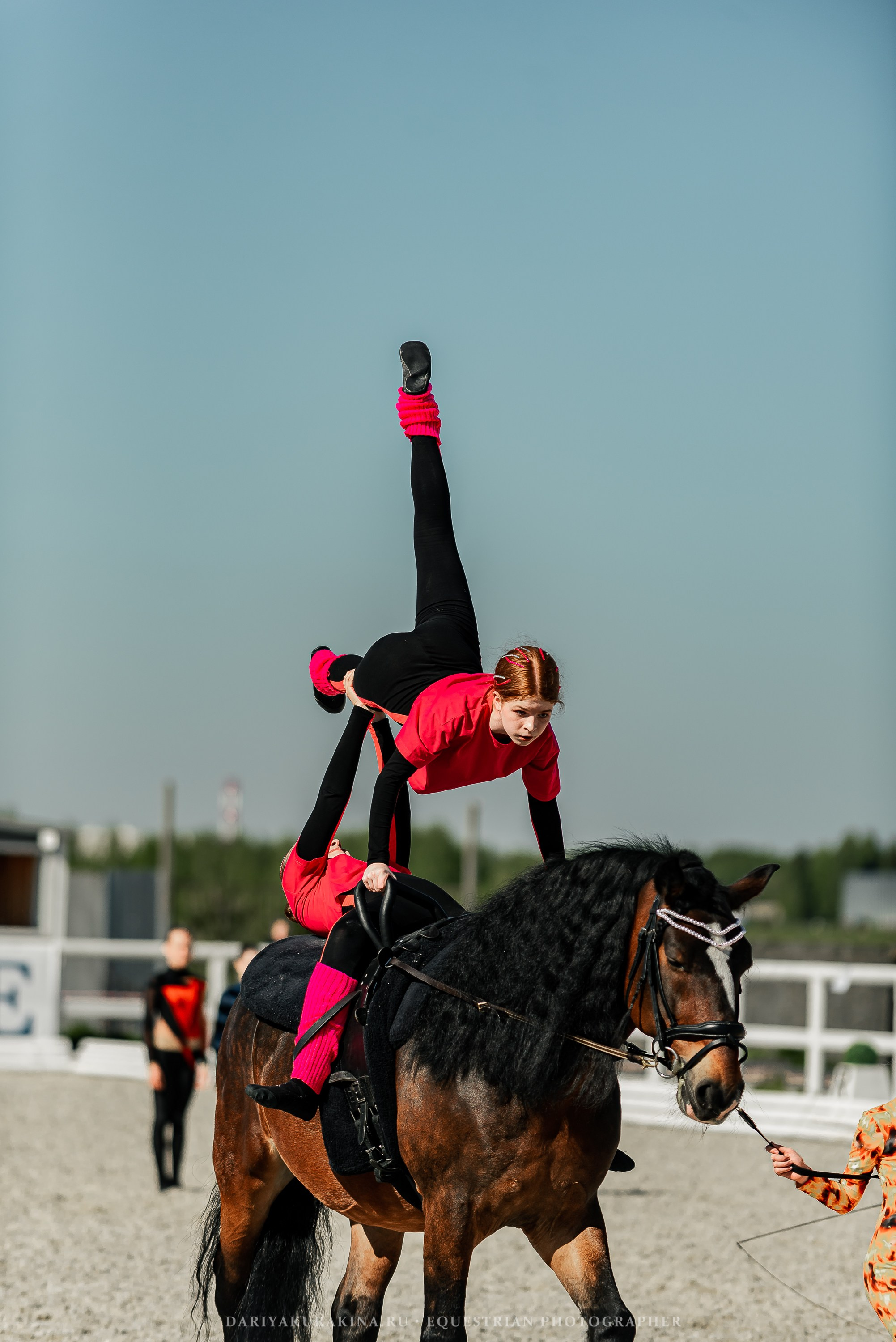 РЕПОРТАЖ МКК ВОЛЬТ «LA TULIPS». Конный фотограф Куракина Дарья • Фотосессии с лошадьми