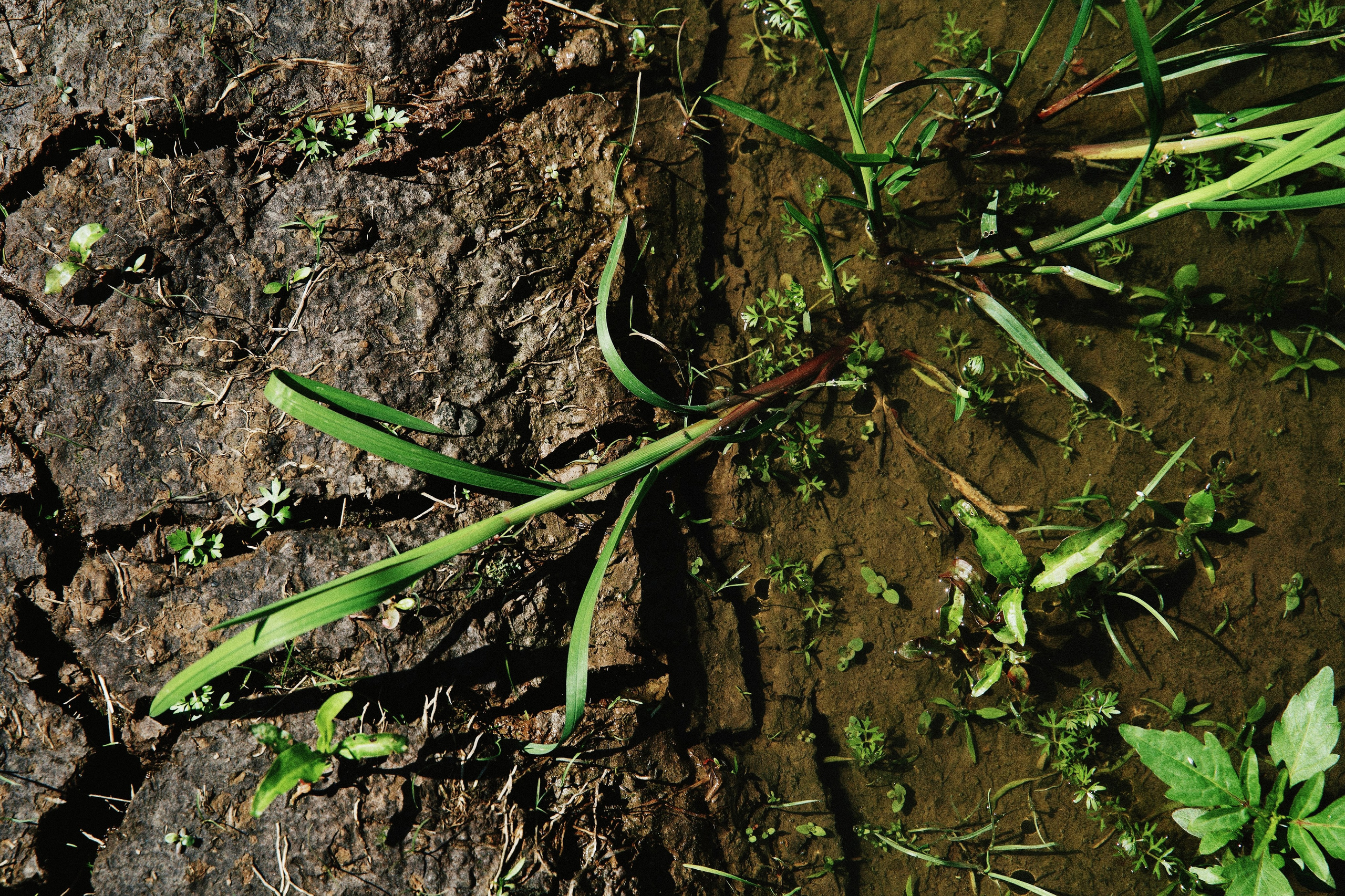 ПРИРОДА. Разноплановый фотограф из Москвы/Твери