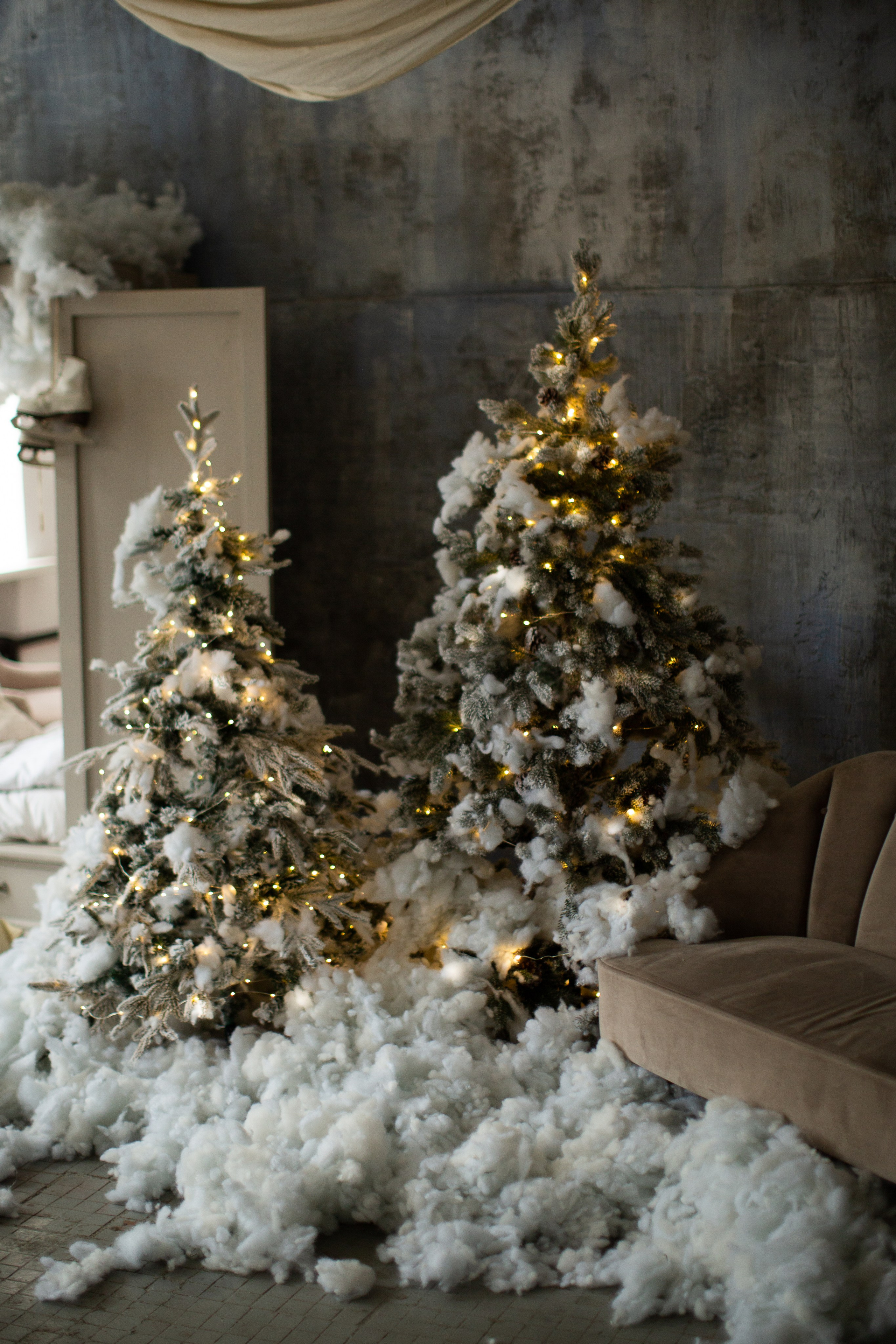 Нг24. Фотограф НатаФото (Наталья Яковенко) Дмитров Москва Питер