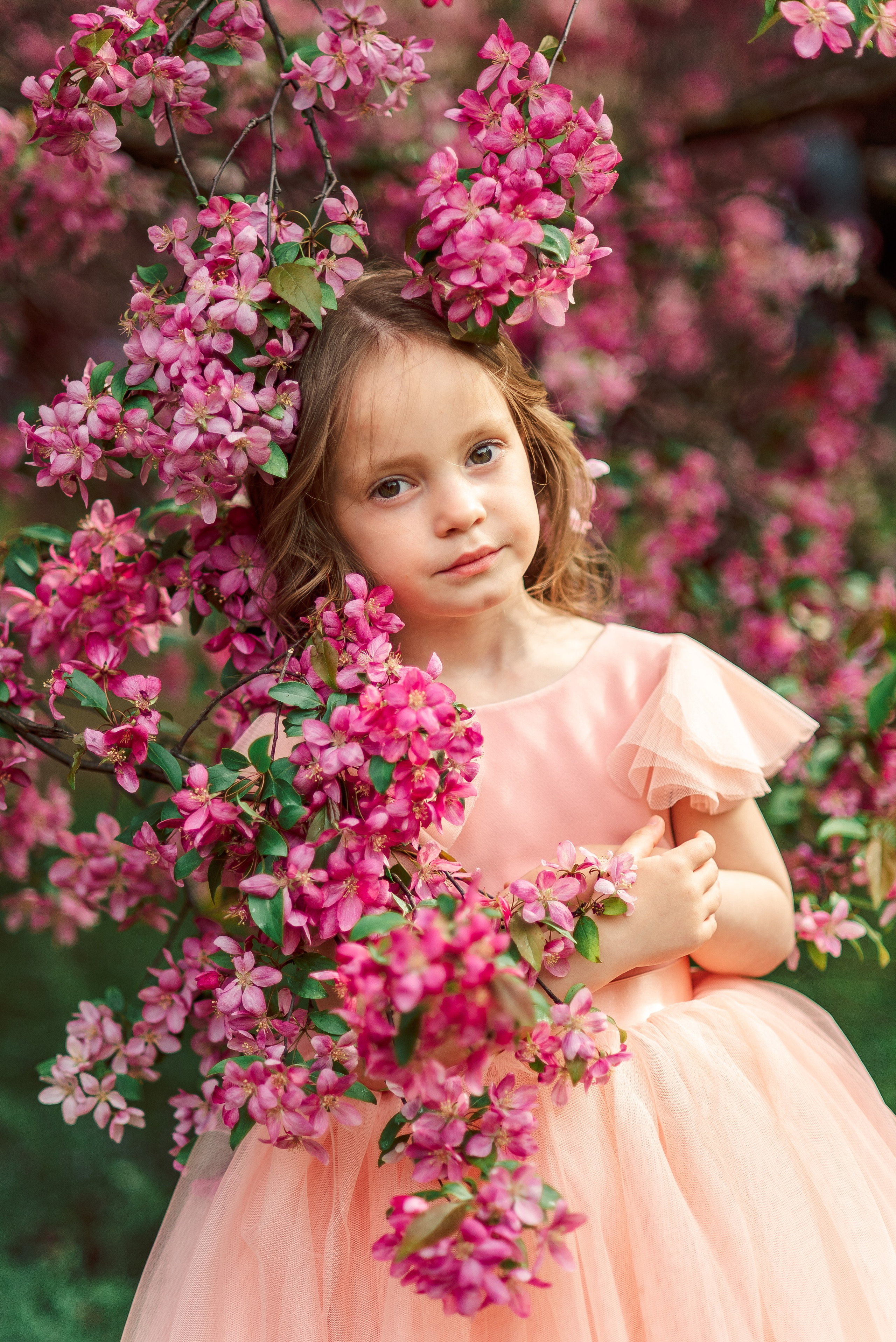 Цветение. Фотограф Юлия Попова