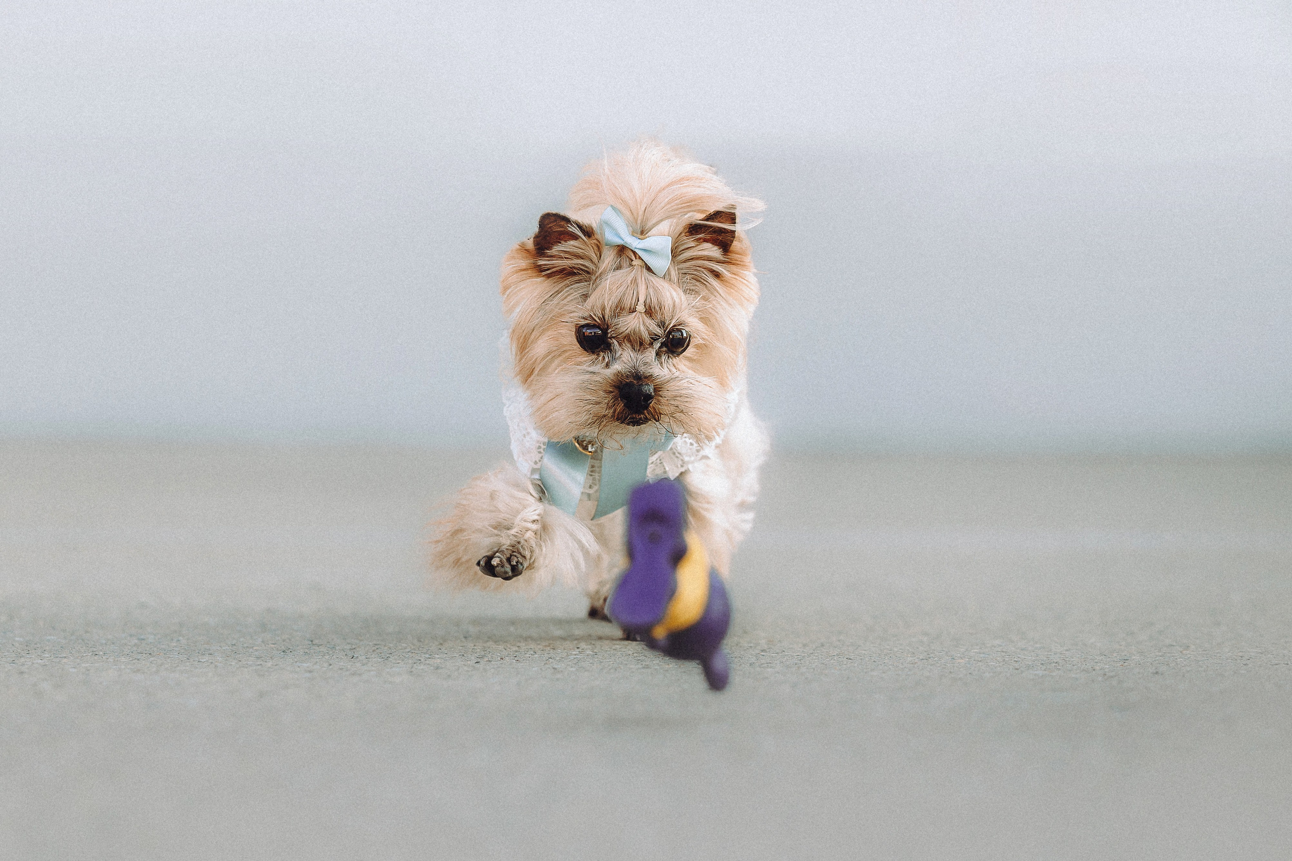 Дженни, Оливия и их семья