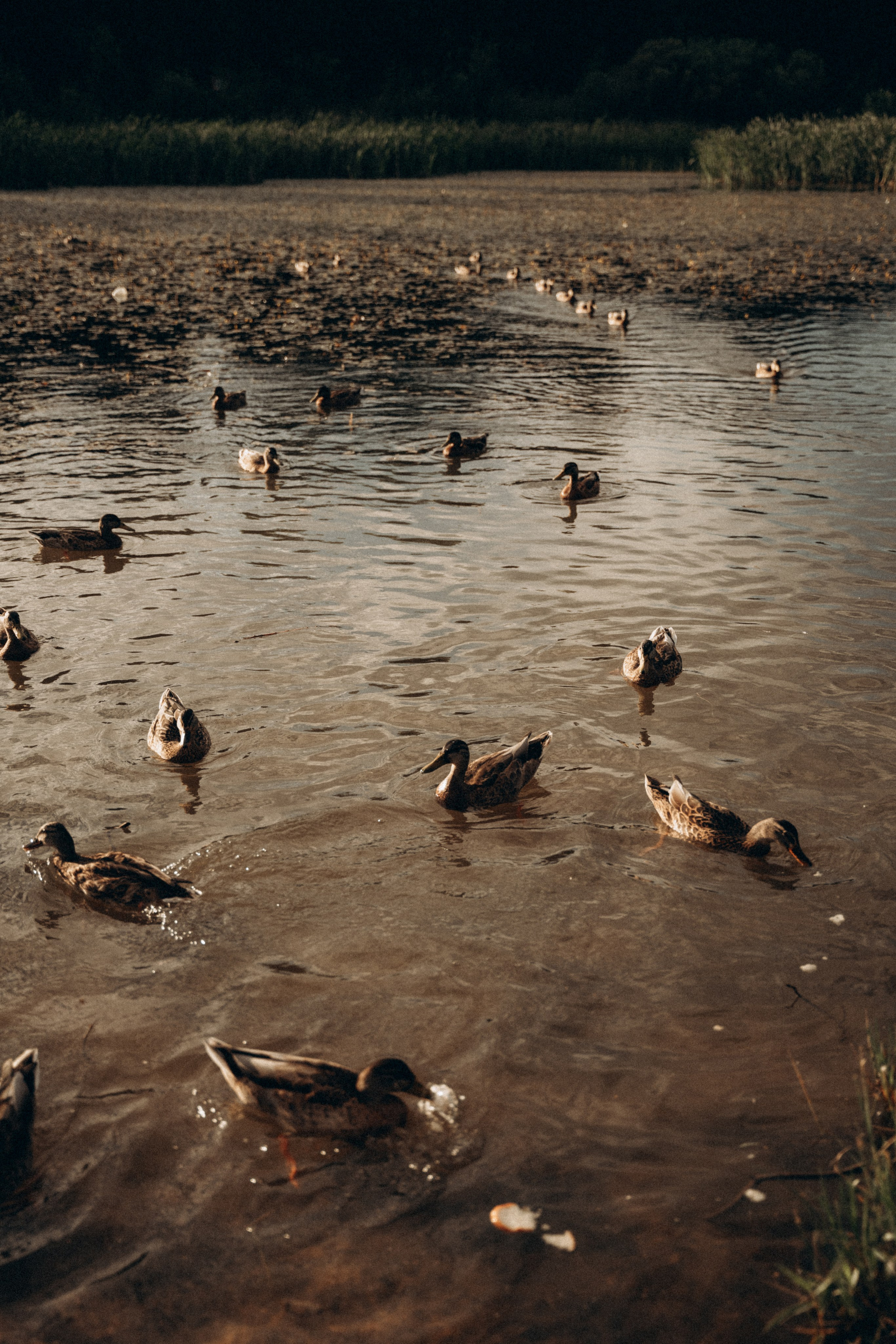 Мария и Андрюша. Фотограф Мария Миллс | Минск