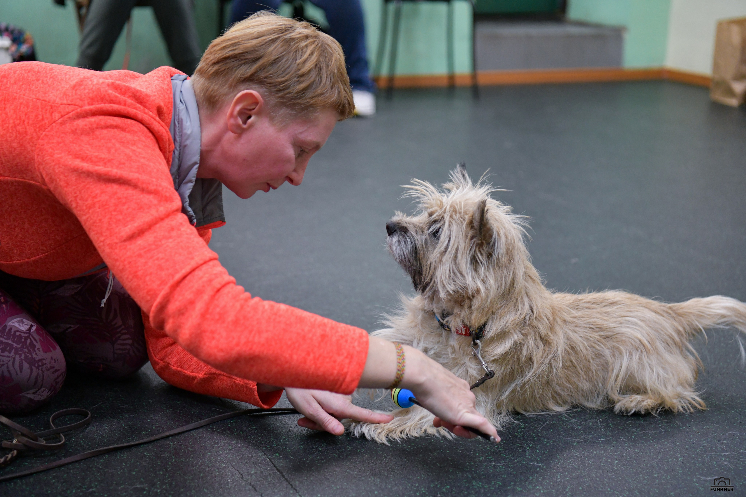 Кинологический клуб «Бодрый хвост». Свой взгляд через объектив