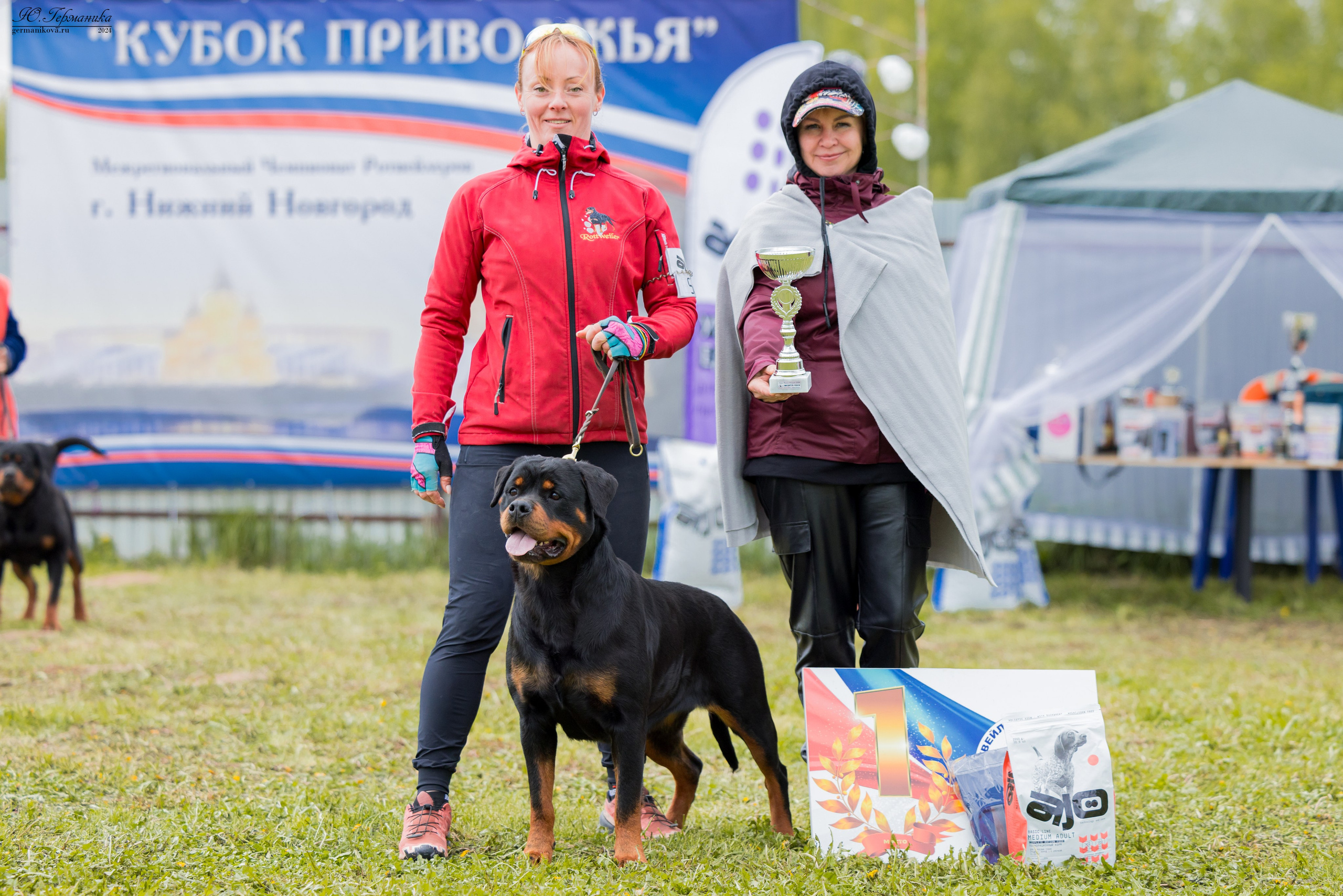 Нижний Новгород 11-12.05.2024 моно ротвейлеров. Фотограф-анималист Юлия Германика