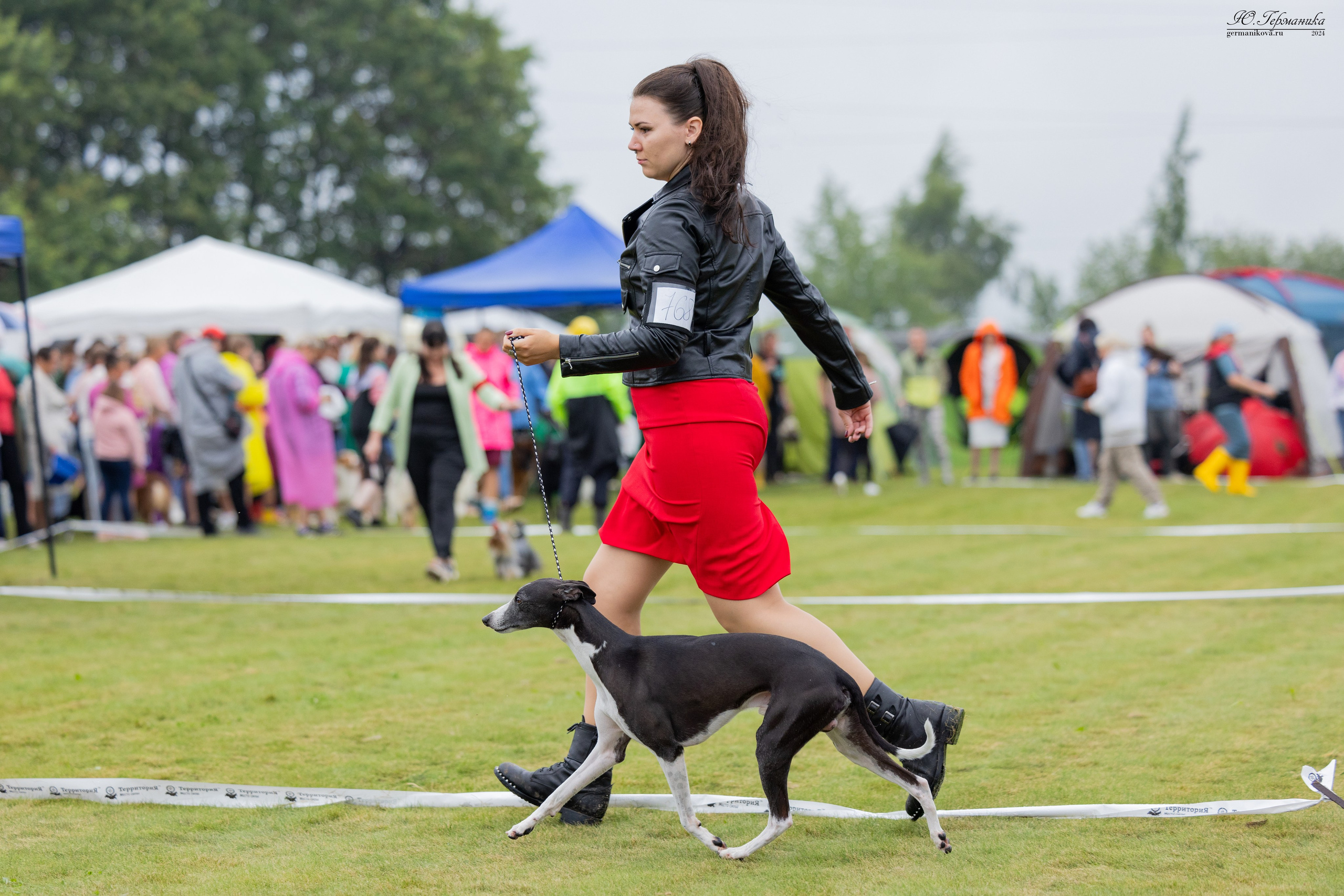 Ярославль 21.07.24 и Балашиха 13.07.24. Фотограф-анималист Юлия Германика