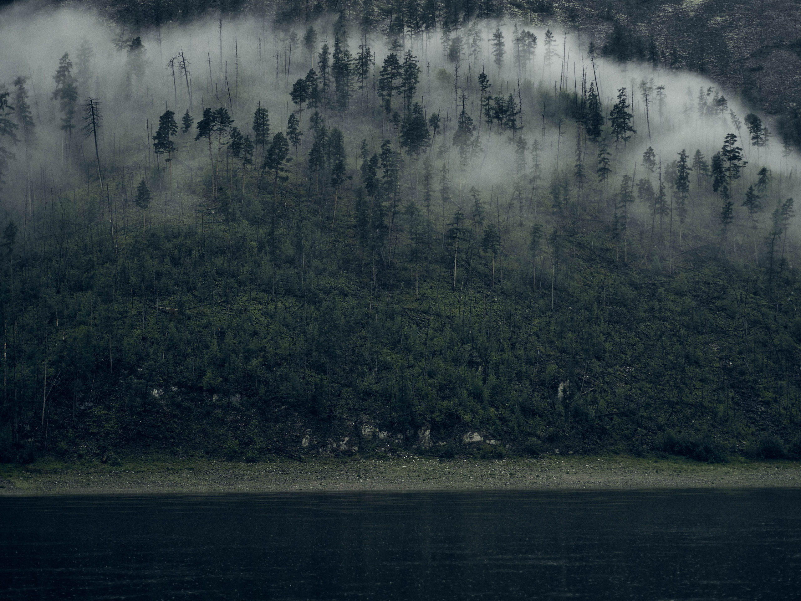 Наблюдения. Семейный фотограф в Новосибирске Артём Кузнецов