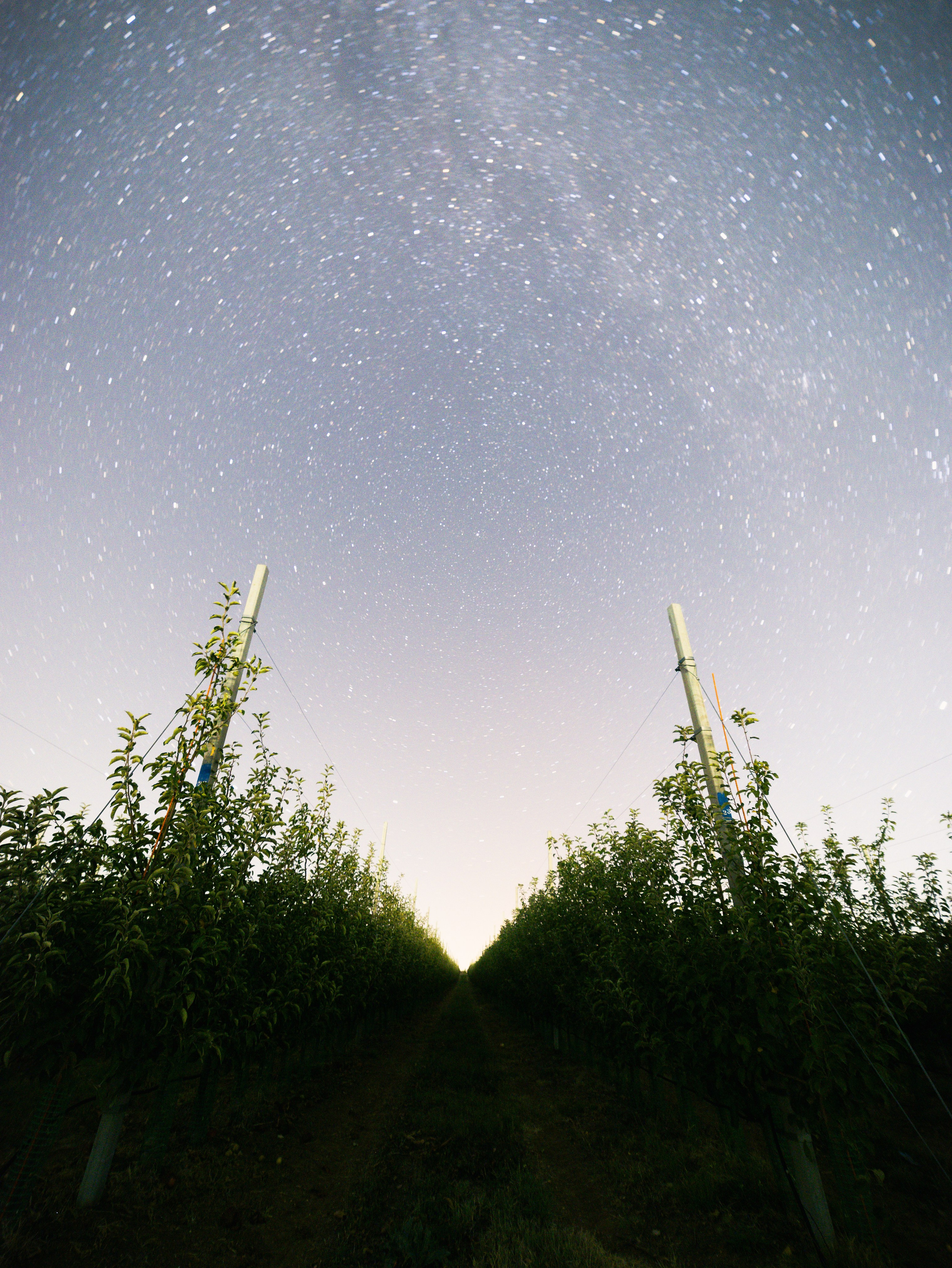 Domik в саду. Артем Корнев Фотограф