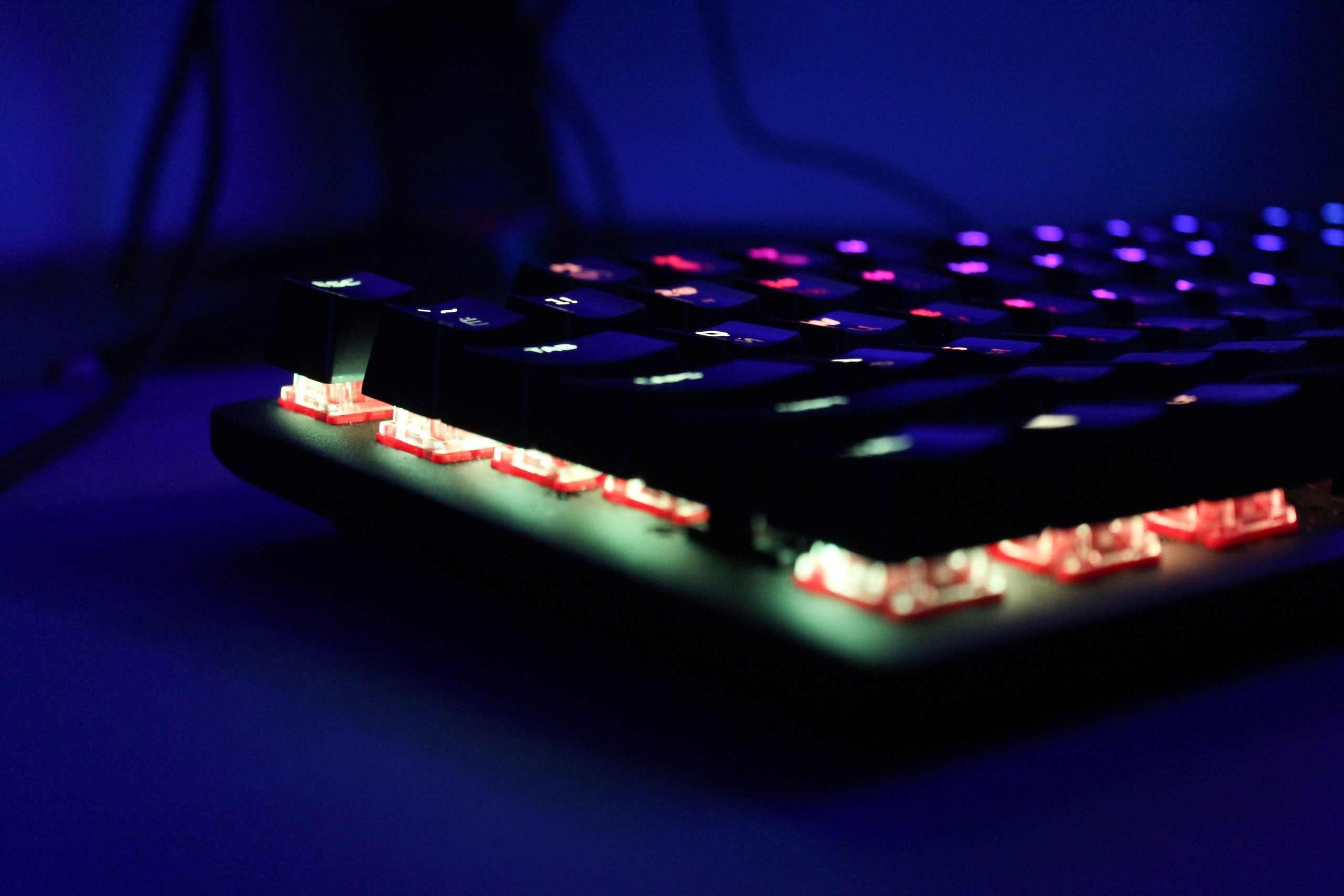 Cyber pride cs2 21.01.24. Карпогоры, Санкт-Петербург