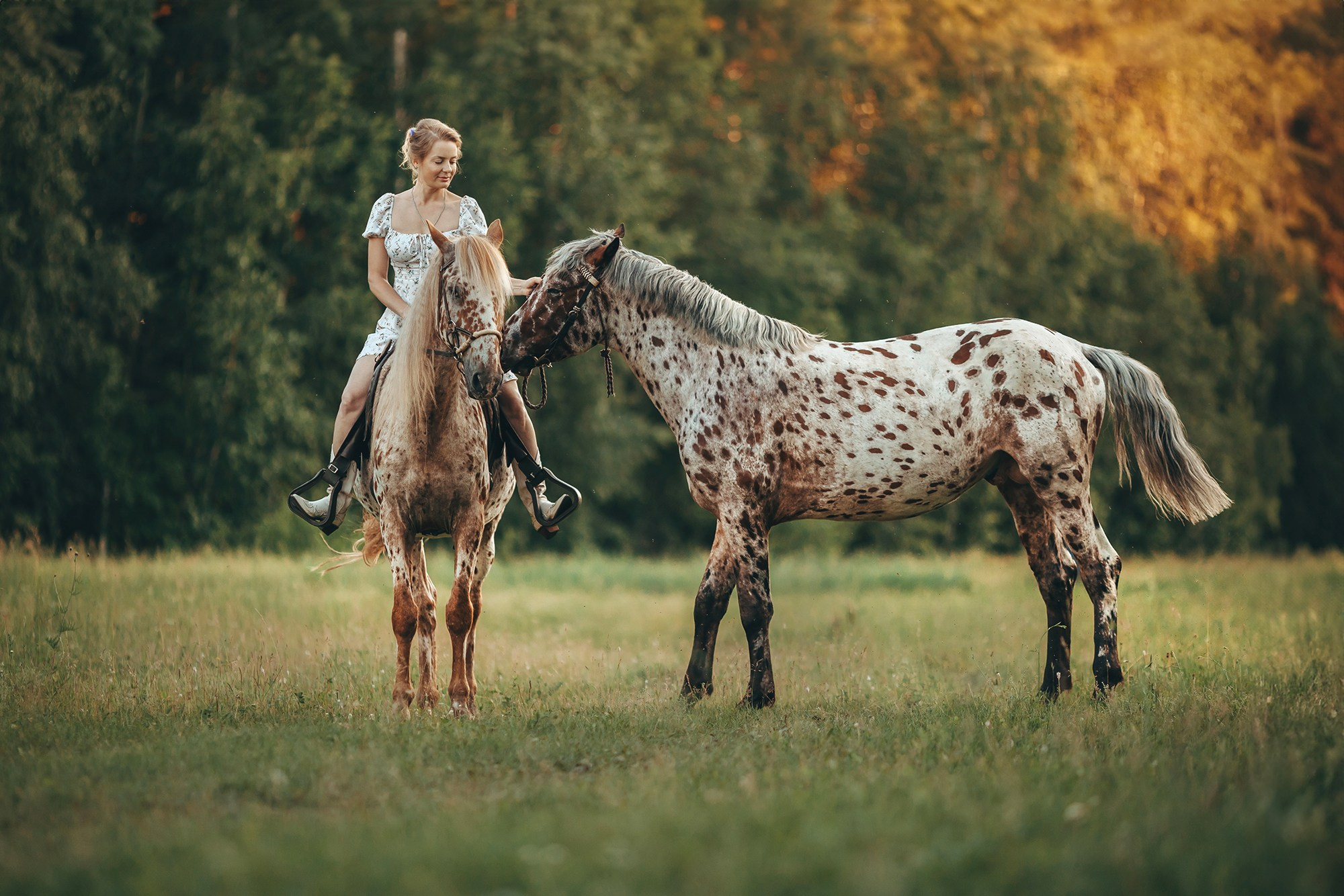 Пятнистая история. Анна Молчанова конный фотограф в Тюмени | фотосессии с лошадьми Тюмень