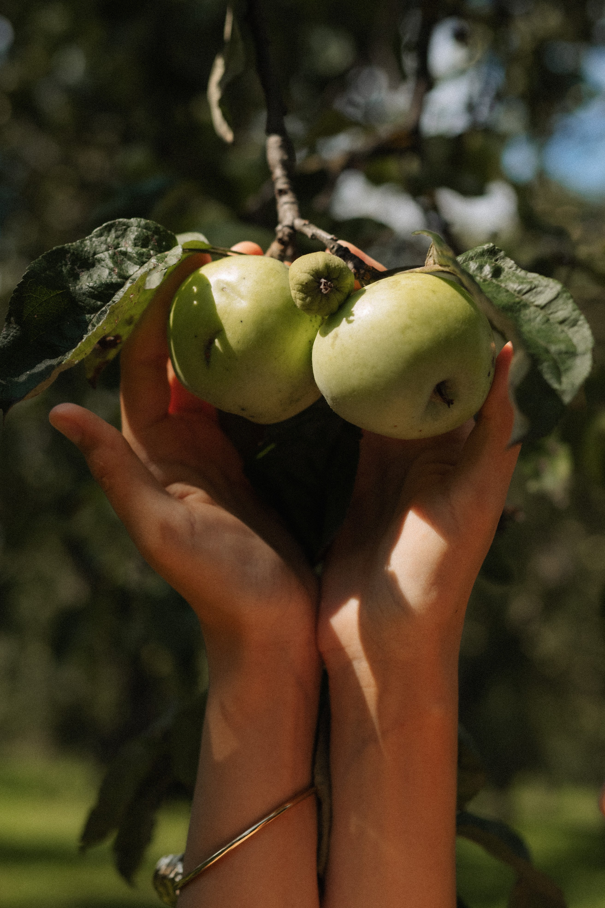 Фотосессия для беременных в Москве. Женский и семейный фотограф в Москве и Красногорске Светлана Левченко