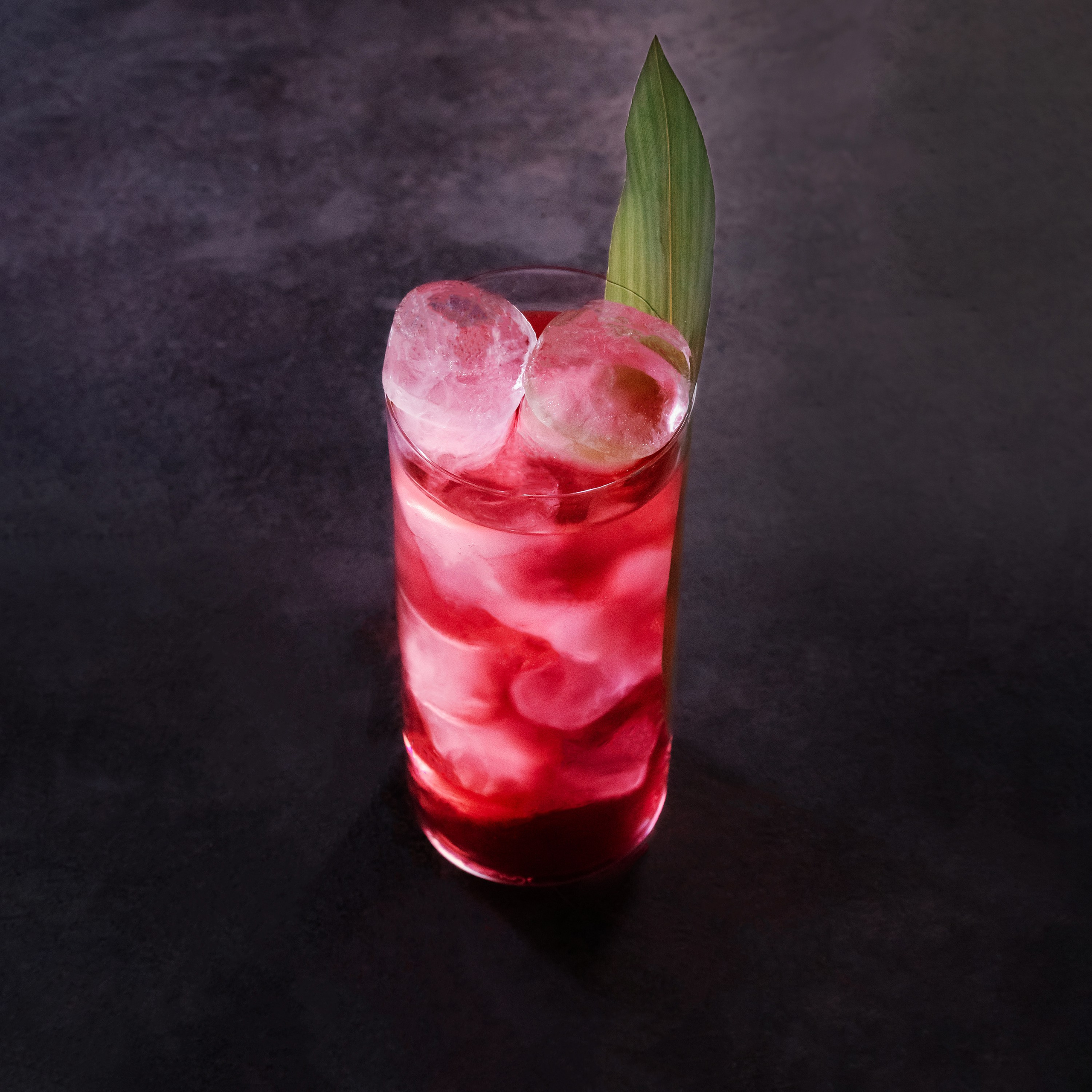 Menu Moriarti. Фотограф Москва