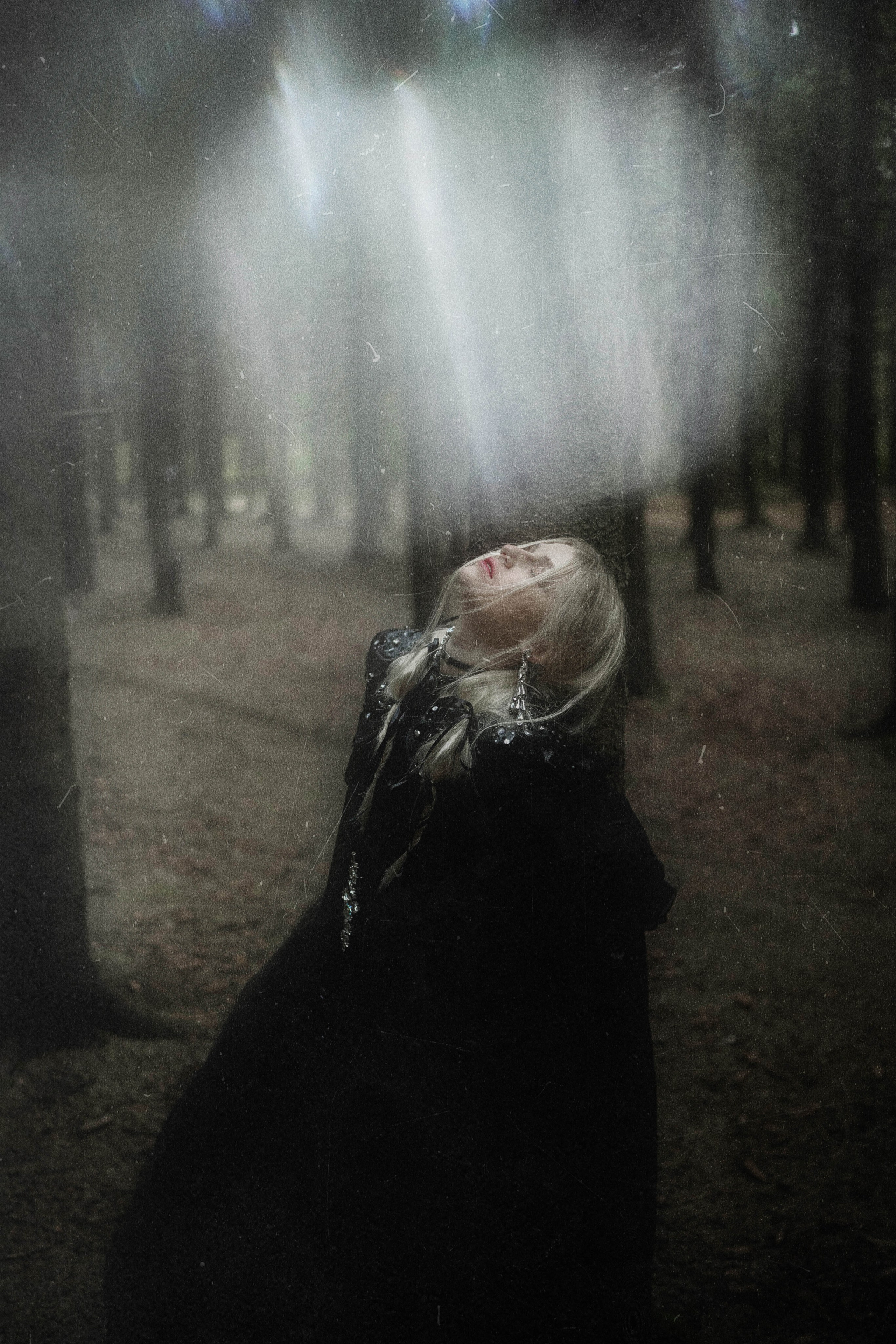 DARK FOREST. Фотограф Julia Nova