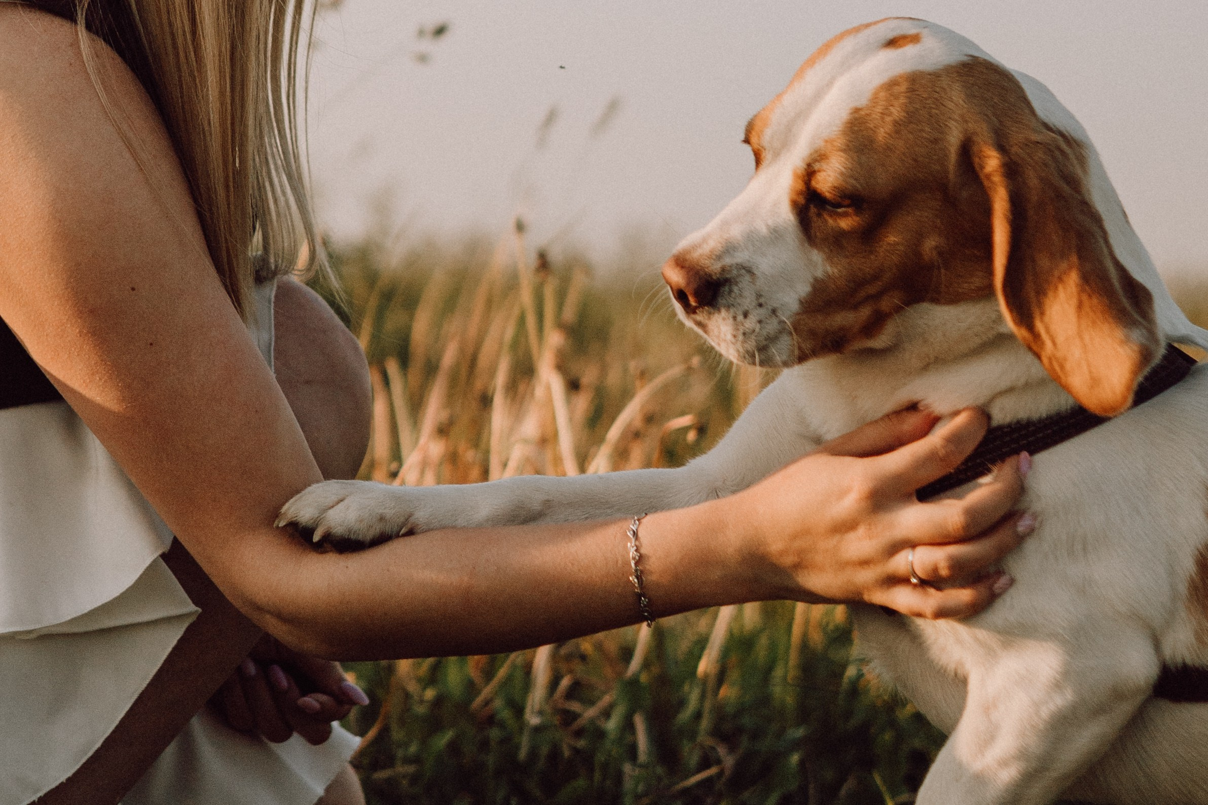 Мартин и его семья. Фотограф — анималист •love-story•|Санкт-Петербург