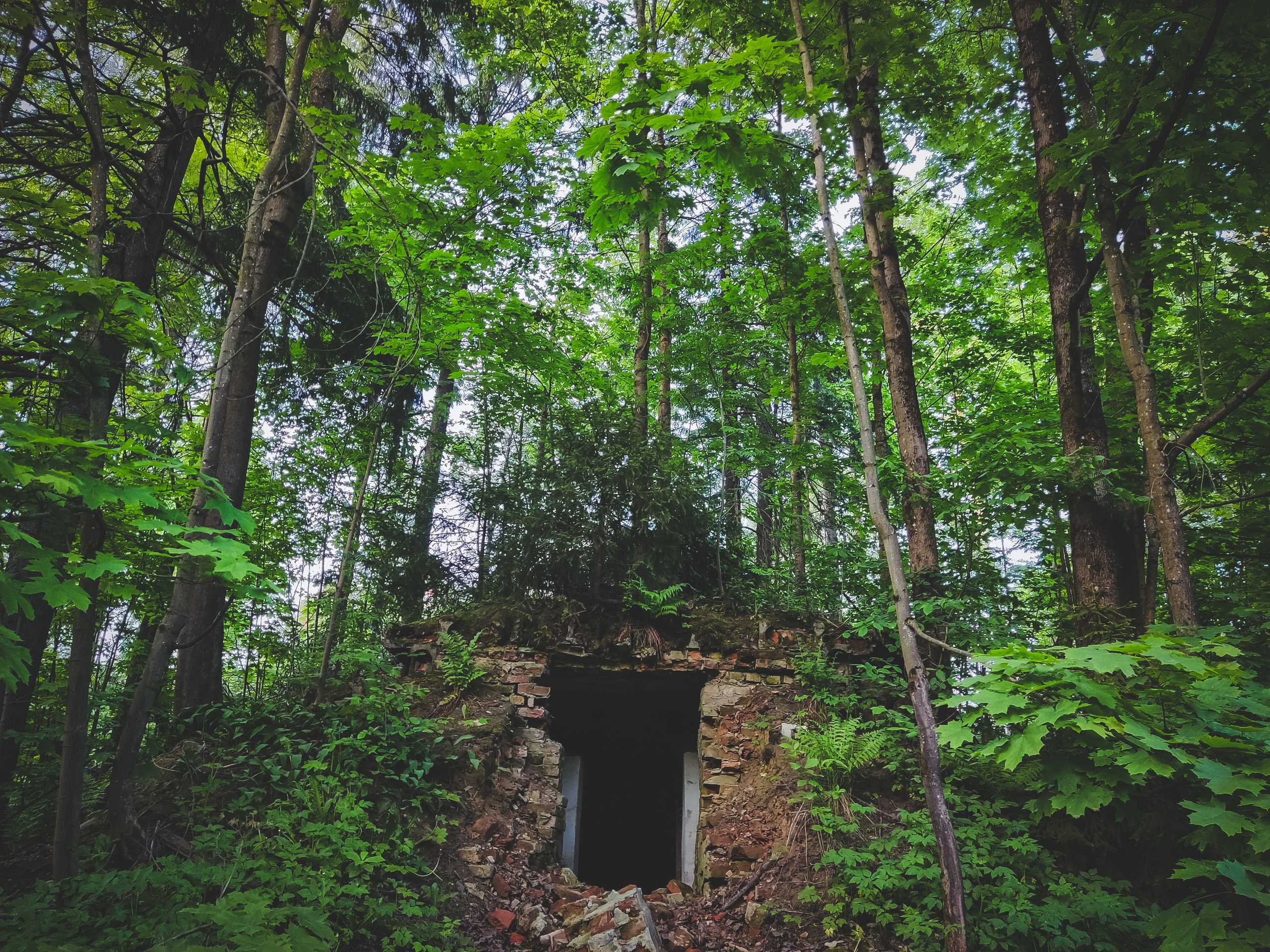 Стрит-фото. F.O.xygen