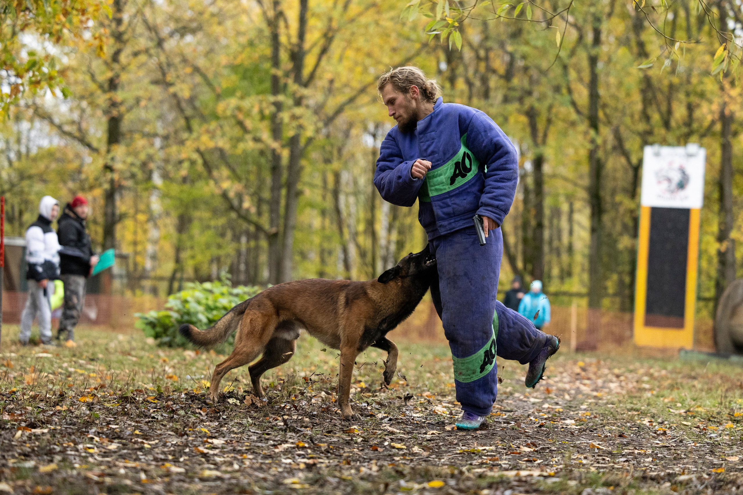 Соревнования по Мондьорингу г. Вологда. Фотограф-анималист Анна Маринич
