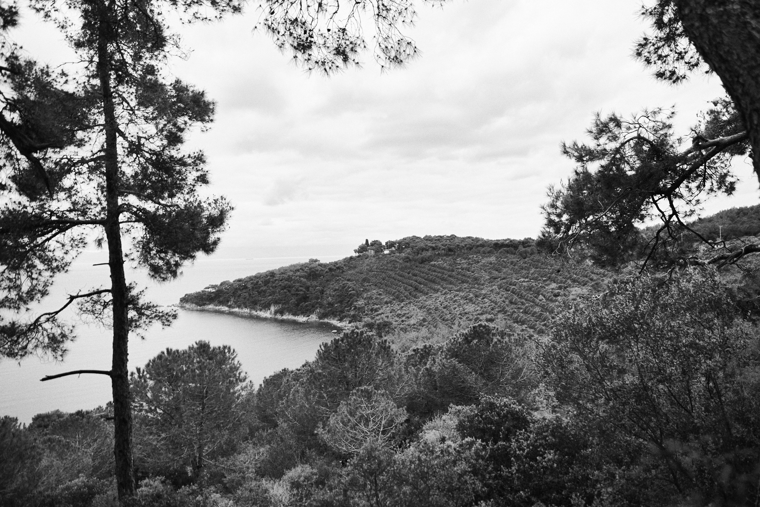 Улица горизонтальная. Jorgis — фотограф в Хургаде / обучение фотографии