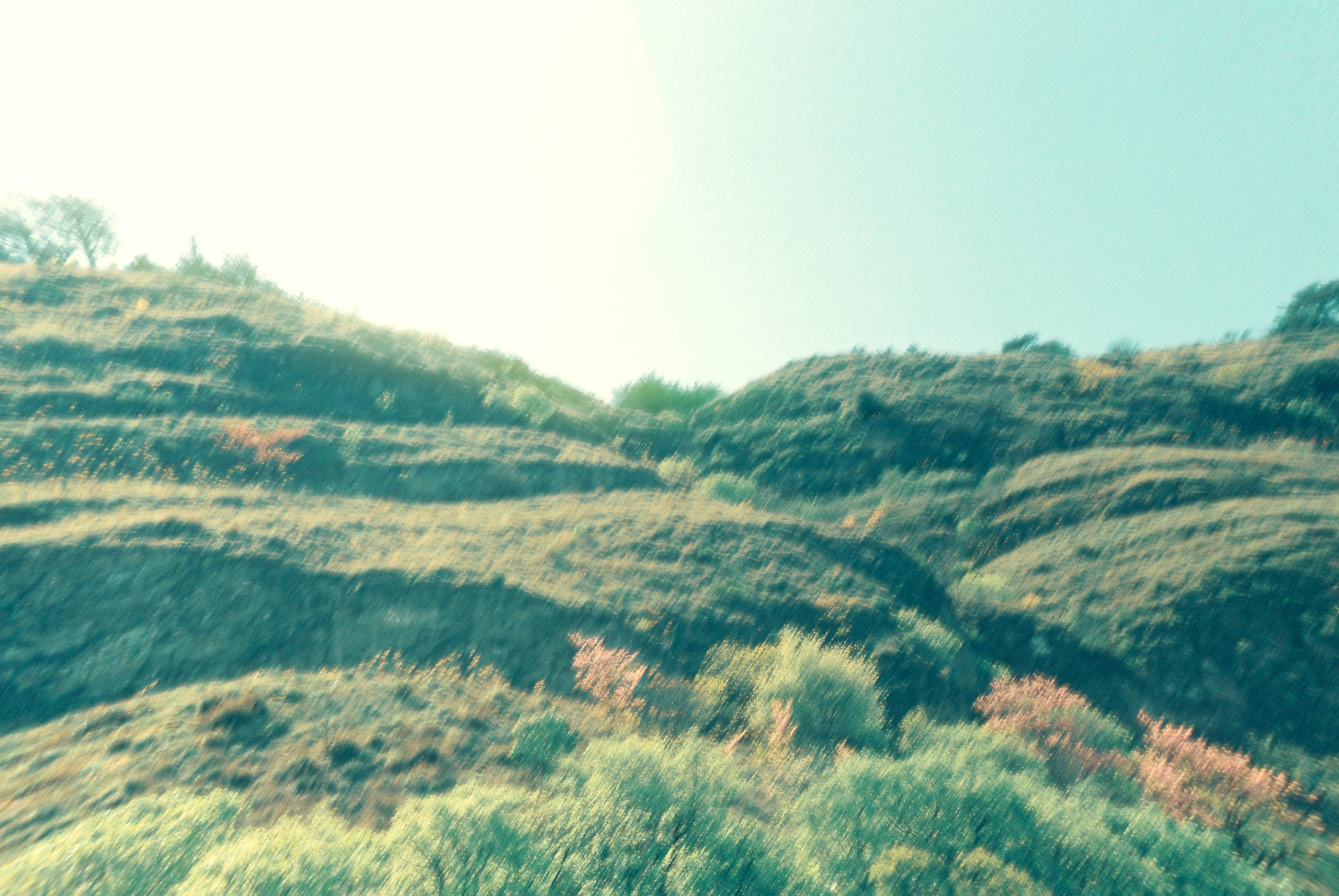 LONG JOURNEY PROJECT. Anna Konushkina — visual artist