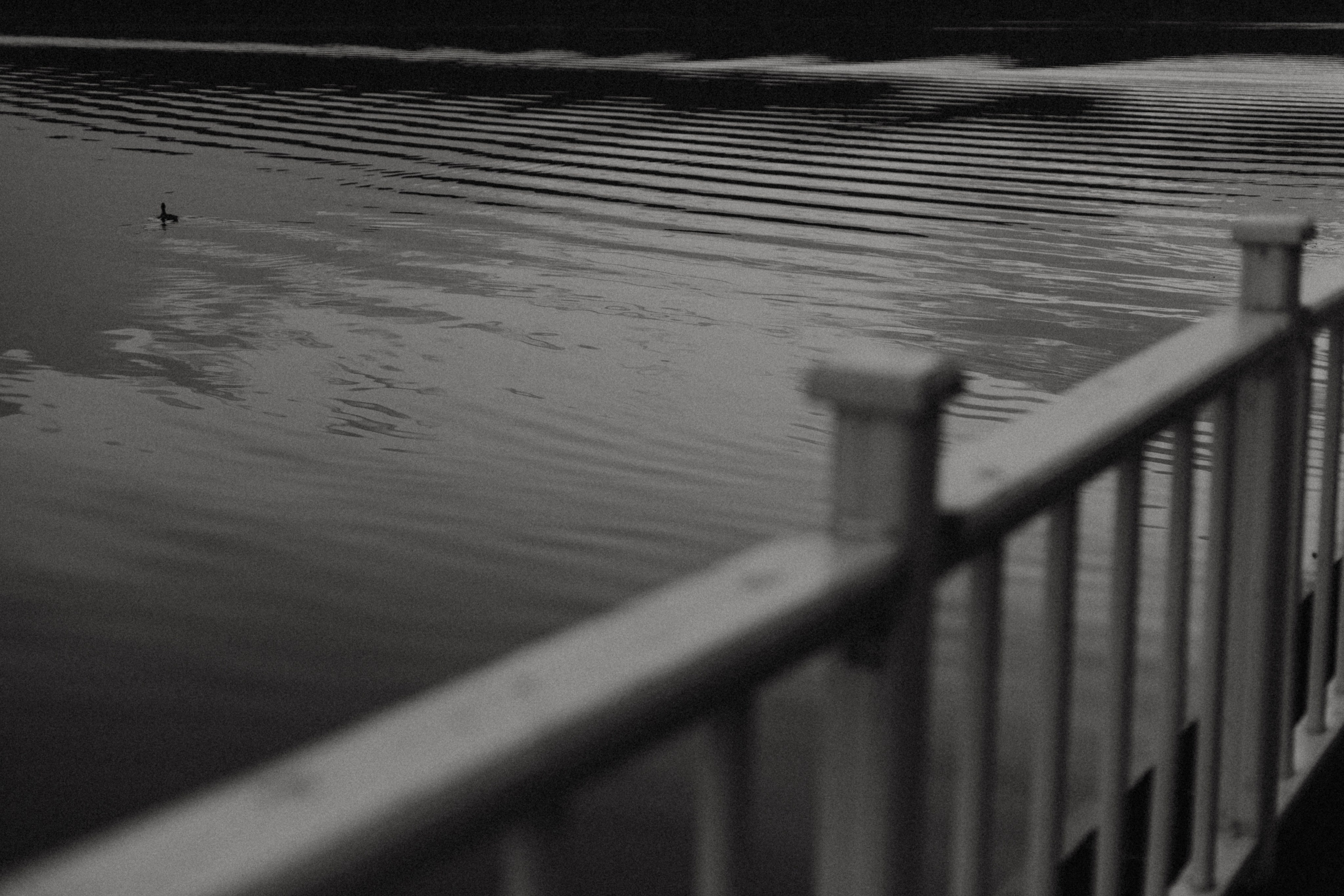 Кристина и Владимир. Фотограф Муратова Алена