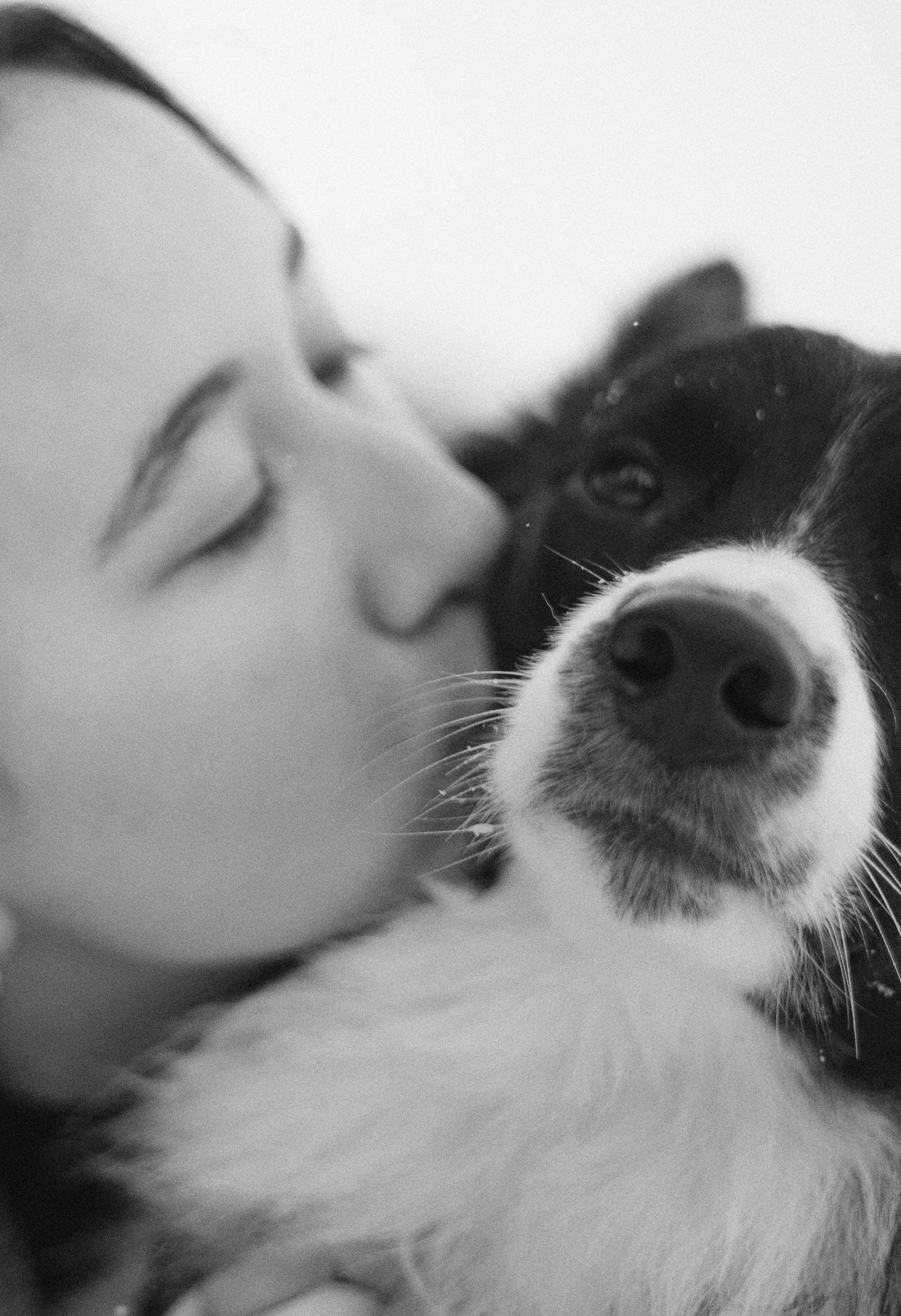 Алина и Найт. Фотограф-анималист Богданова Полина