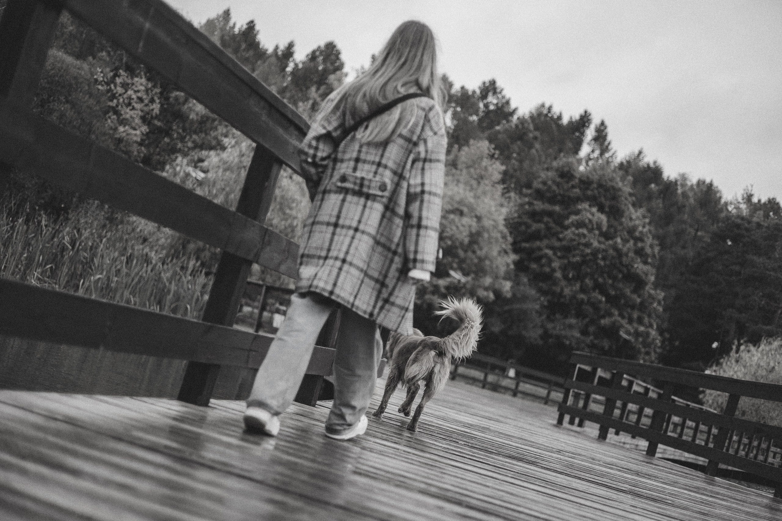 Алина и Бис. Фотограф-анималист Богданова Полина