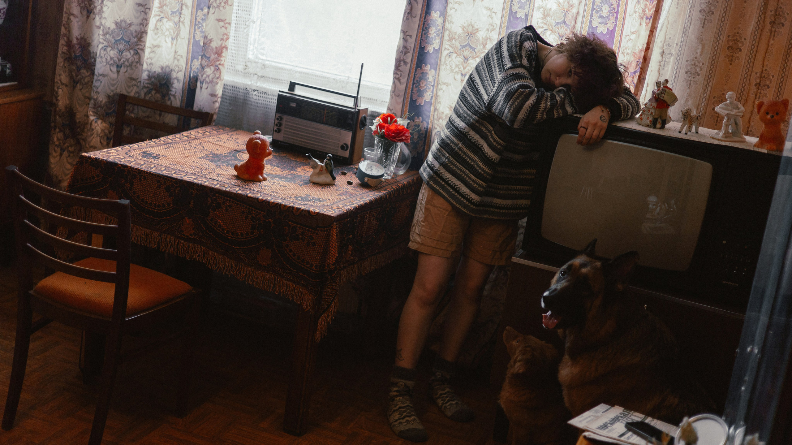 Лера, Реджи и Ральф. Фотограф-анималист Богданова Полина