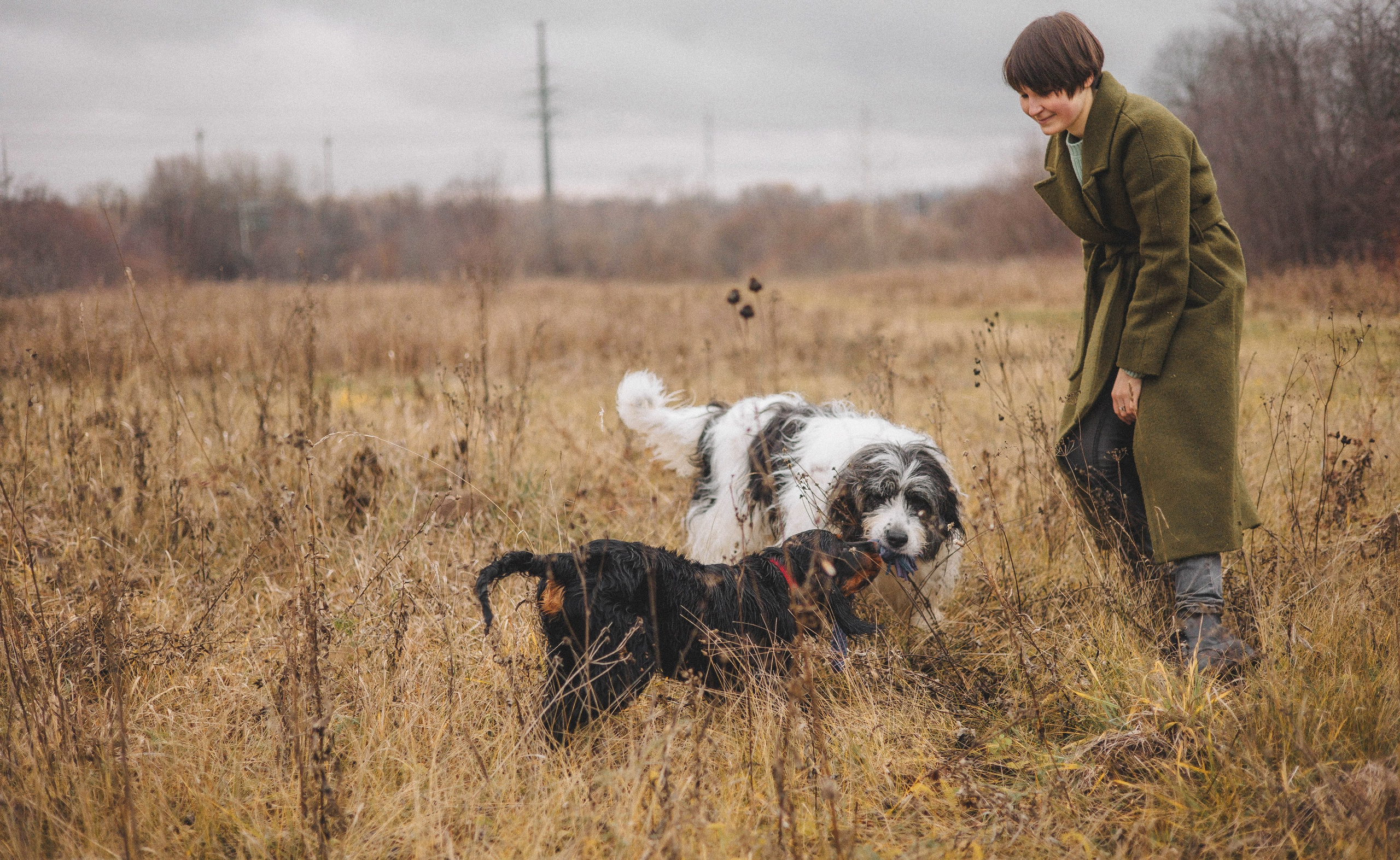 Даша, Глеб, Барс и Бруно. Фотограф-анималист Богданова Полина