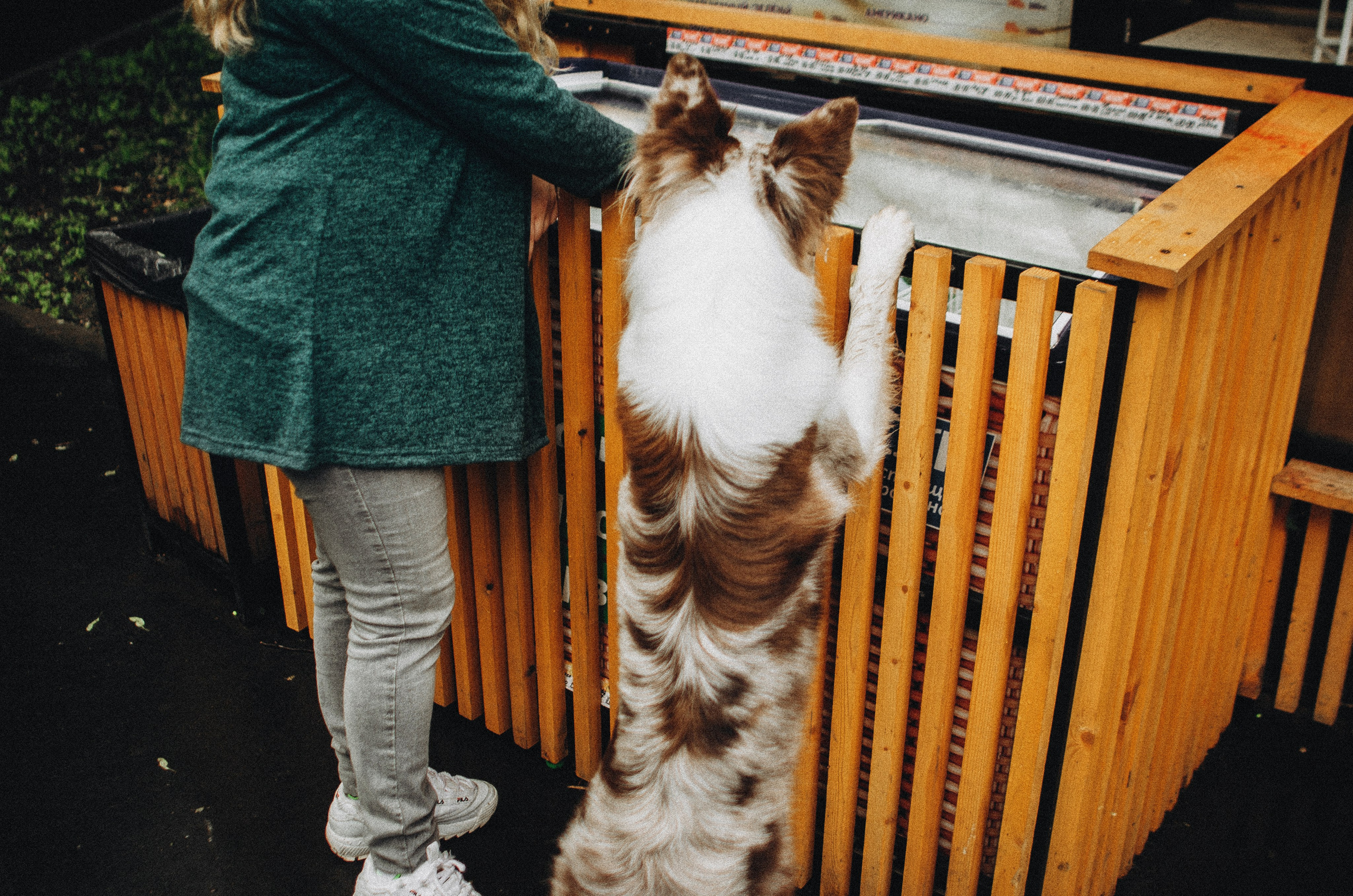Алина и Бруна. Фотограф-анималист Богданова Полина