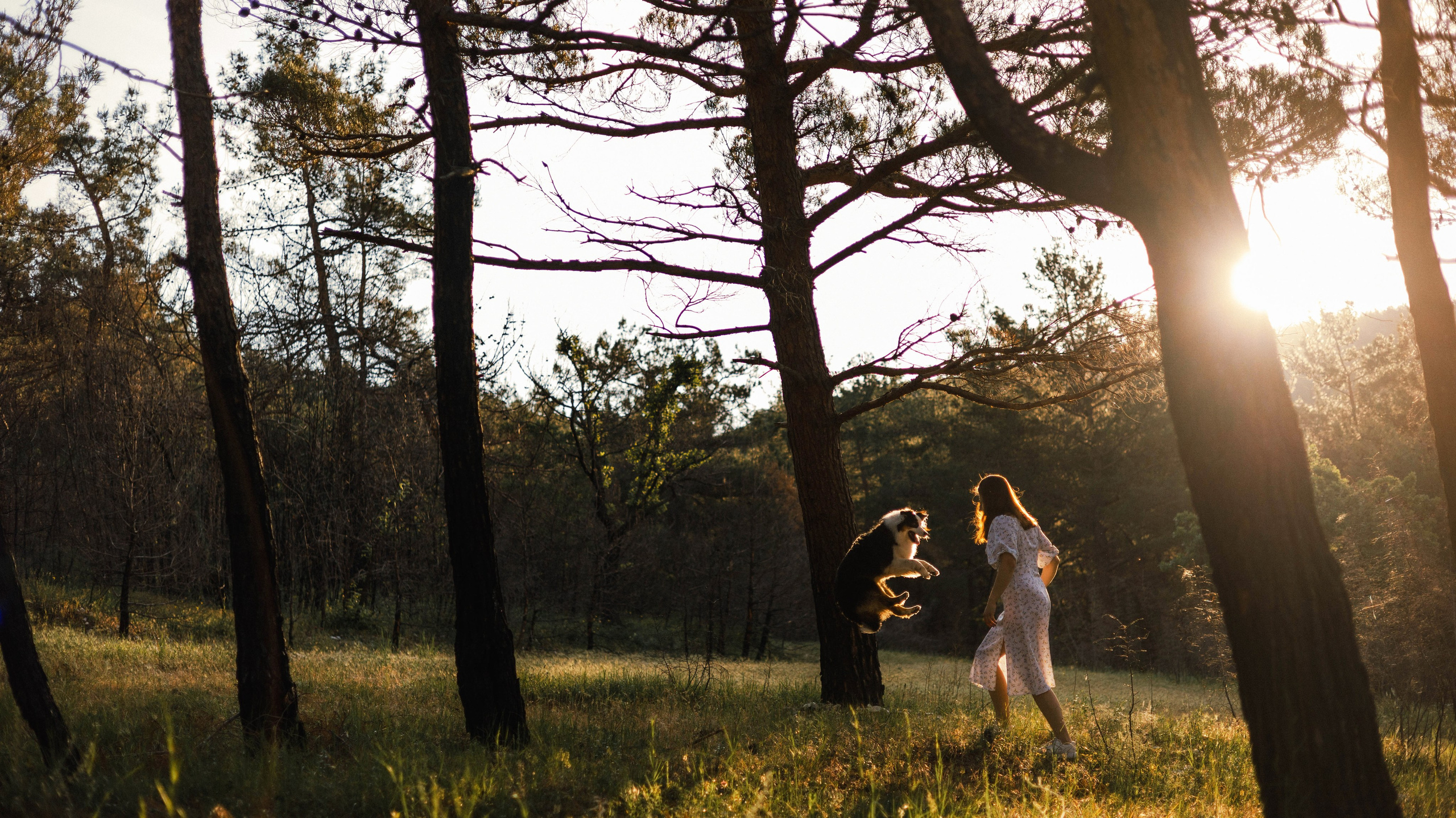 Ира и Джесс. Фотограф-анималист Богданова Полина