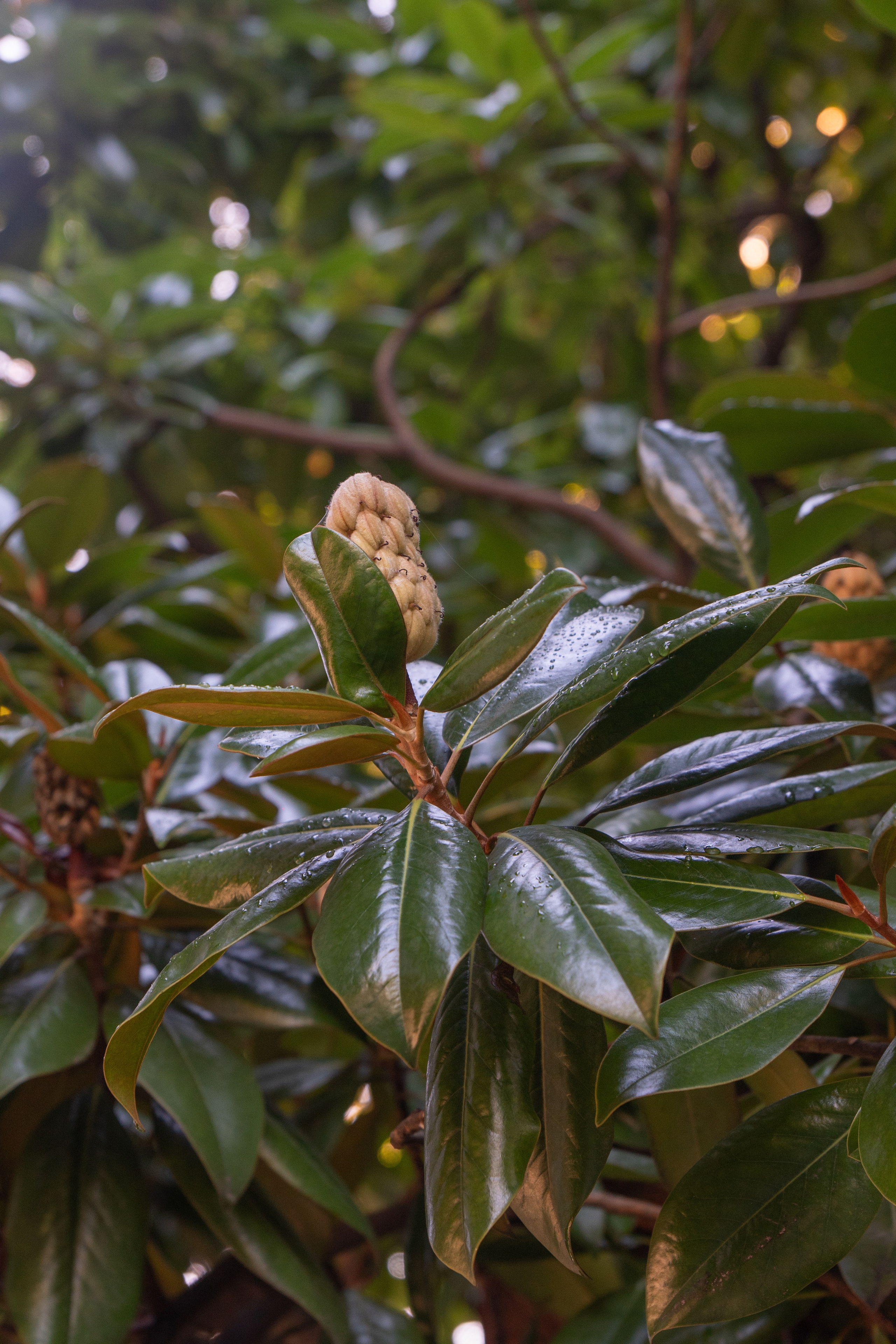 Абхазия. Gusarov Travel Photography