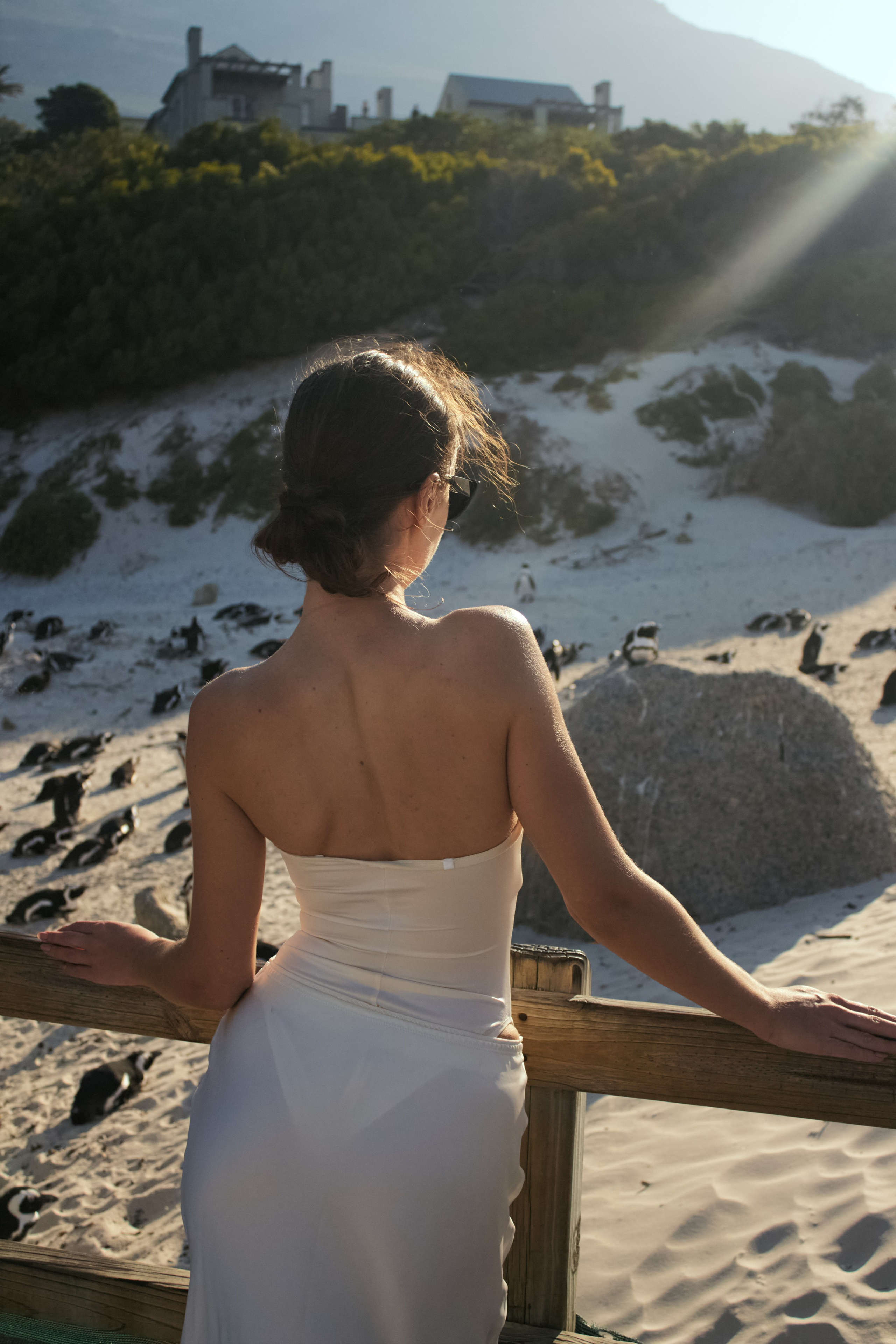 ЮАР. Профессиональный Фотограф во Владимире, в Москве и в Суздале — Полина Романычева