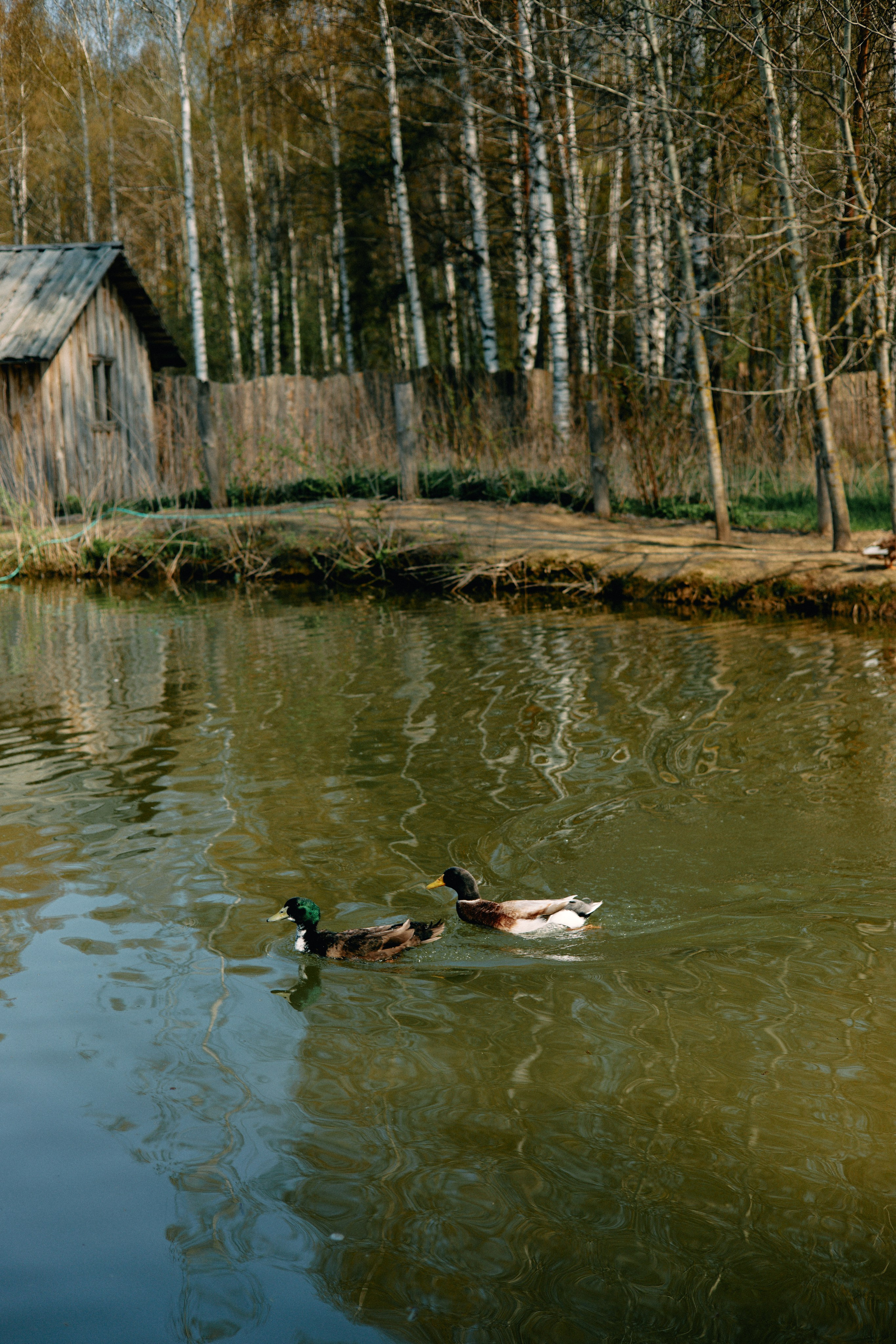 Бутик-отель Поле летом. Профессиональный Фотограф во Владимире, в Москве и в Суздале — Полина Романычева