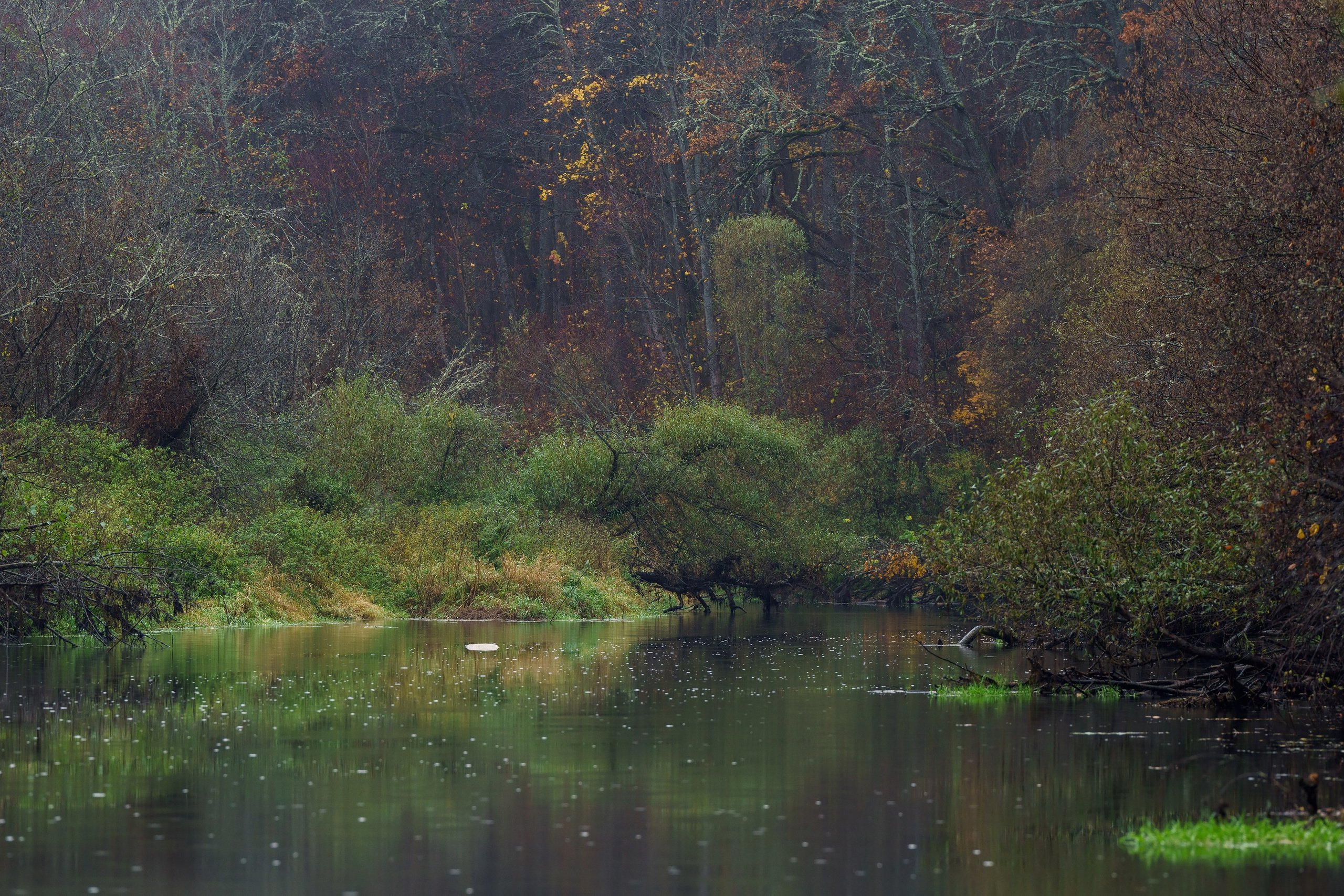 Фотографии Трейл Кутузов 2025. Фотограф спортивные события, недвижимость, турбизнес