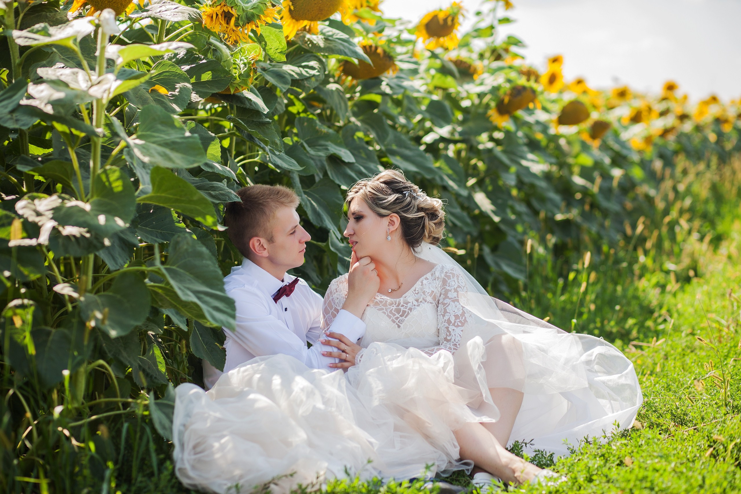 Wedding. Ваш фотограф Светлана Мицукова