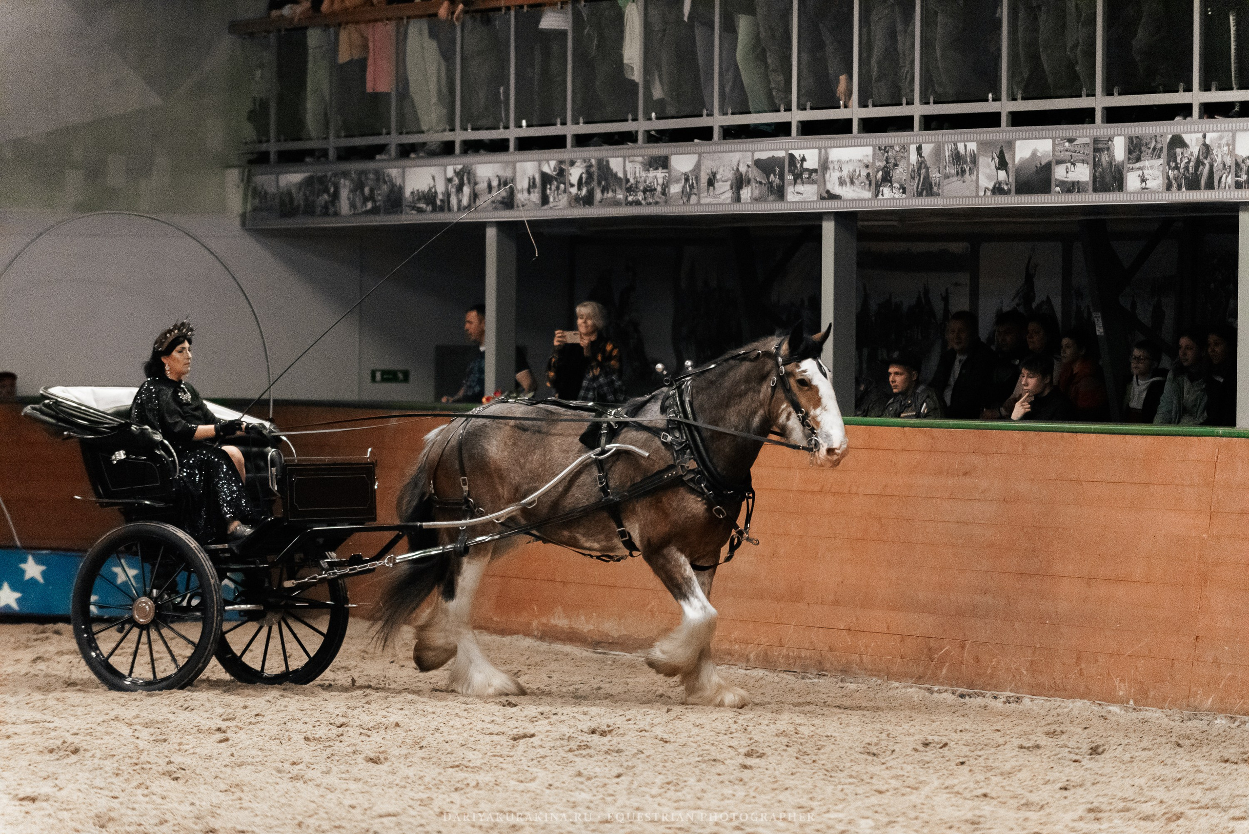 Конное представление «Дыхание Звёзд». Конный фотограф Куракина Дарья • Фотосессии с лошадьми