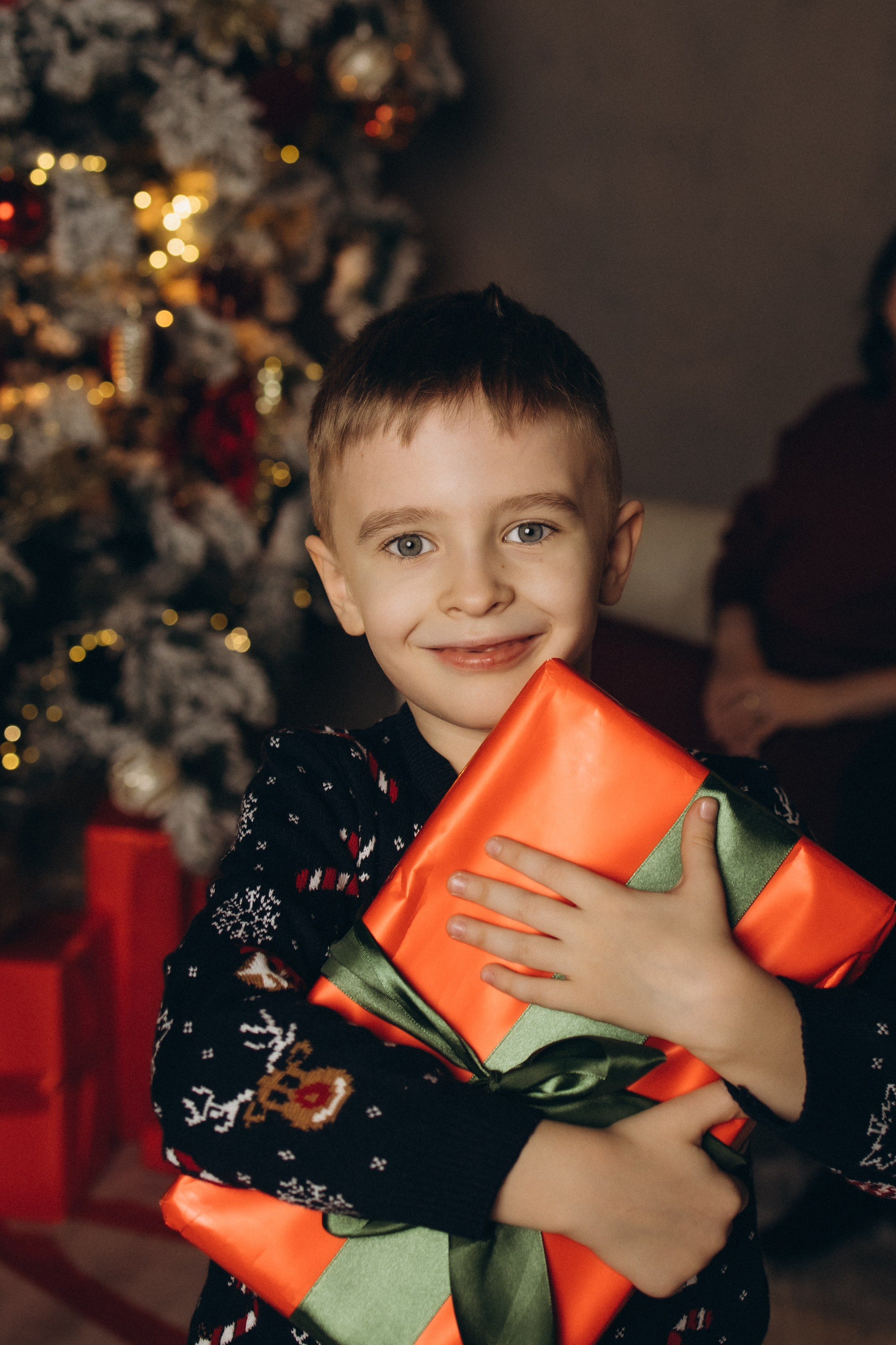 Новогодняя семейная студийная фотосъемка (29.12.2024)г.Обнинск (Калужская обл.). Надежда Стар семейный и церковный фотограф в Жукове и Калужской области